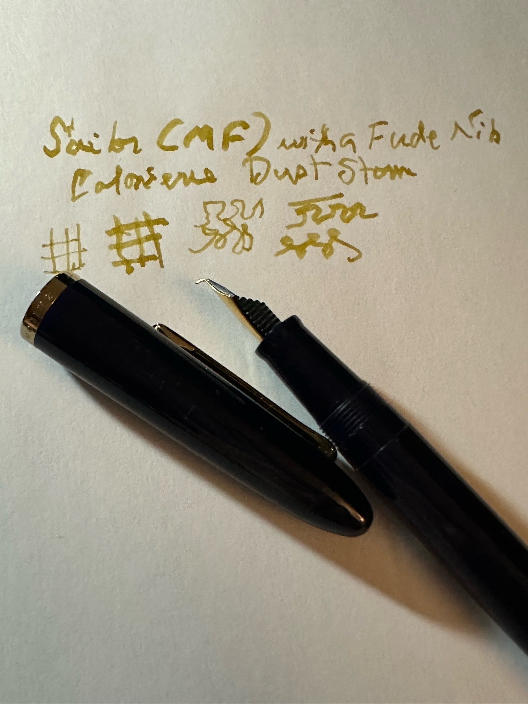 fountainpen and ink 