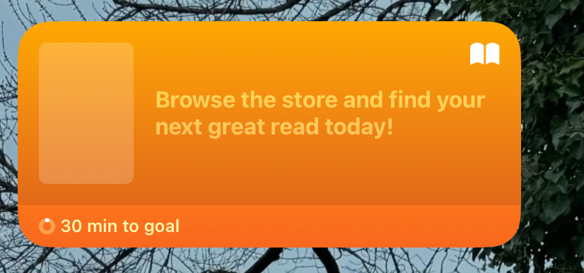 No books on widgets, just an ad.