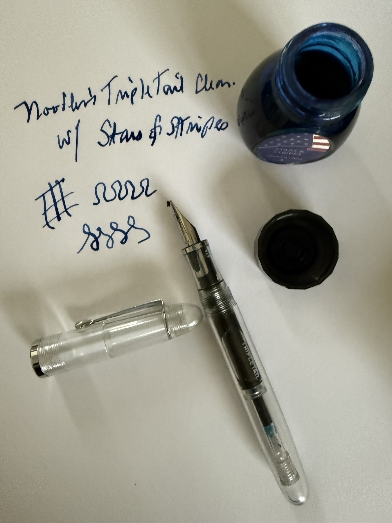 Fountain pen and ink 