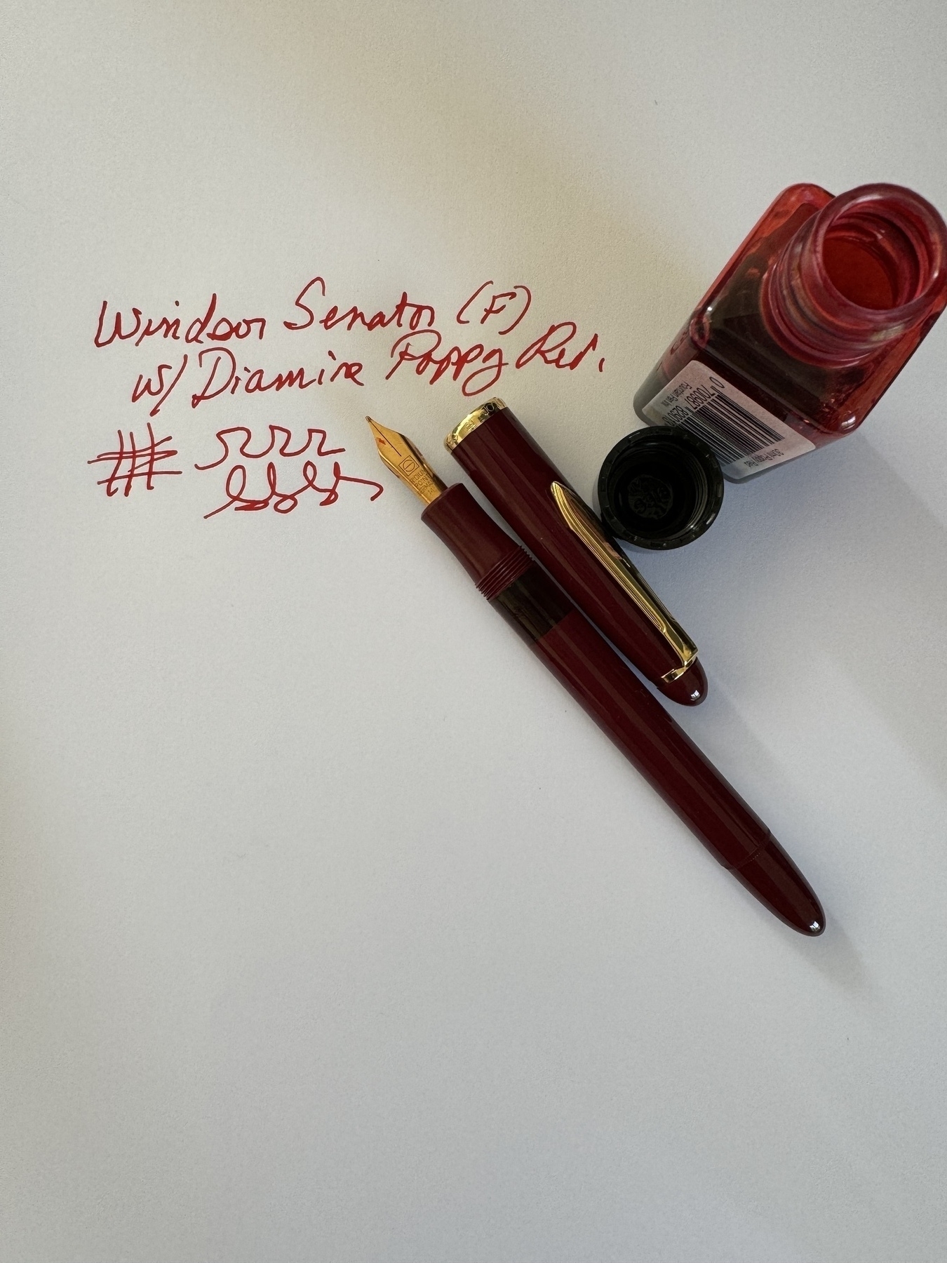 Fountain pen and ink 