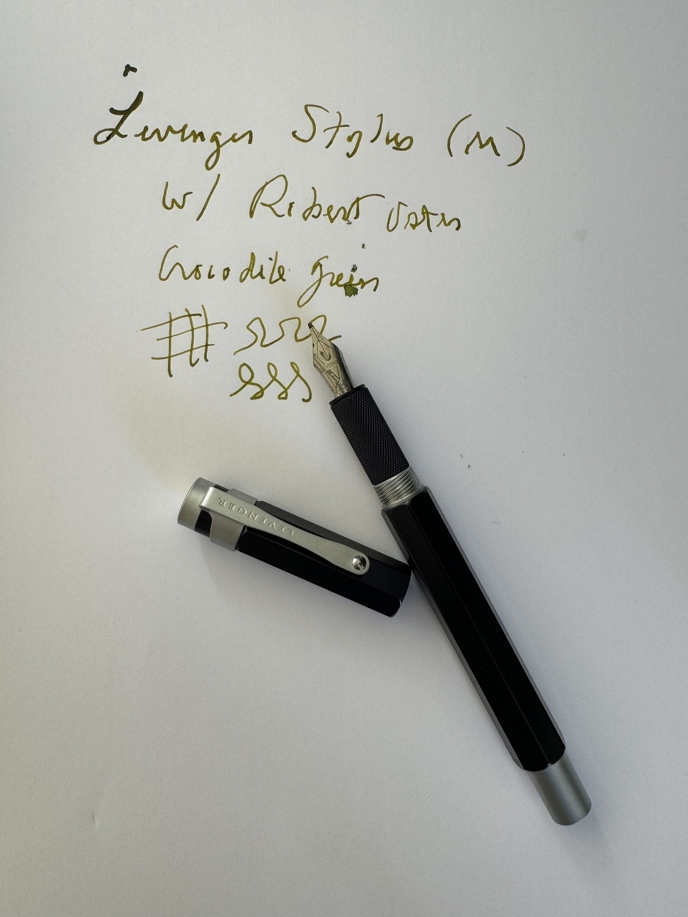 Fountain pen and ink 