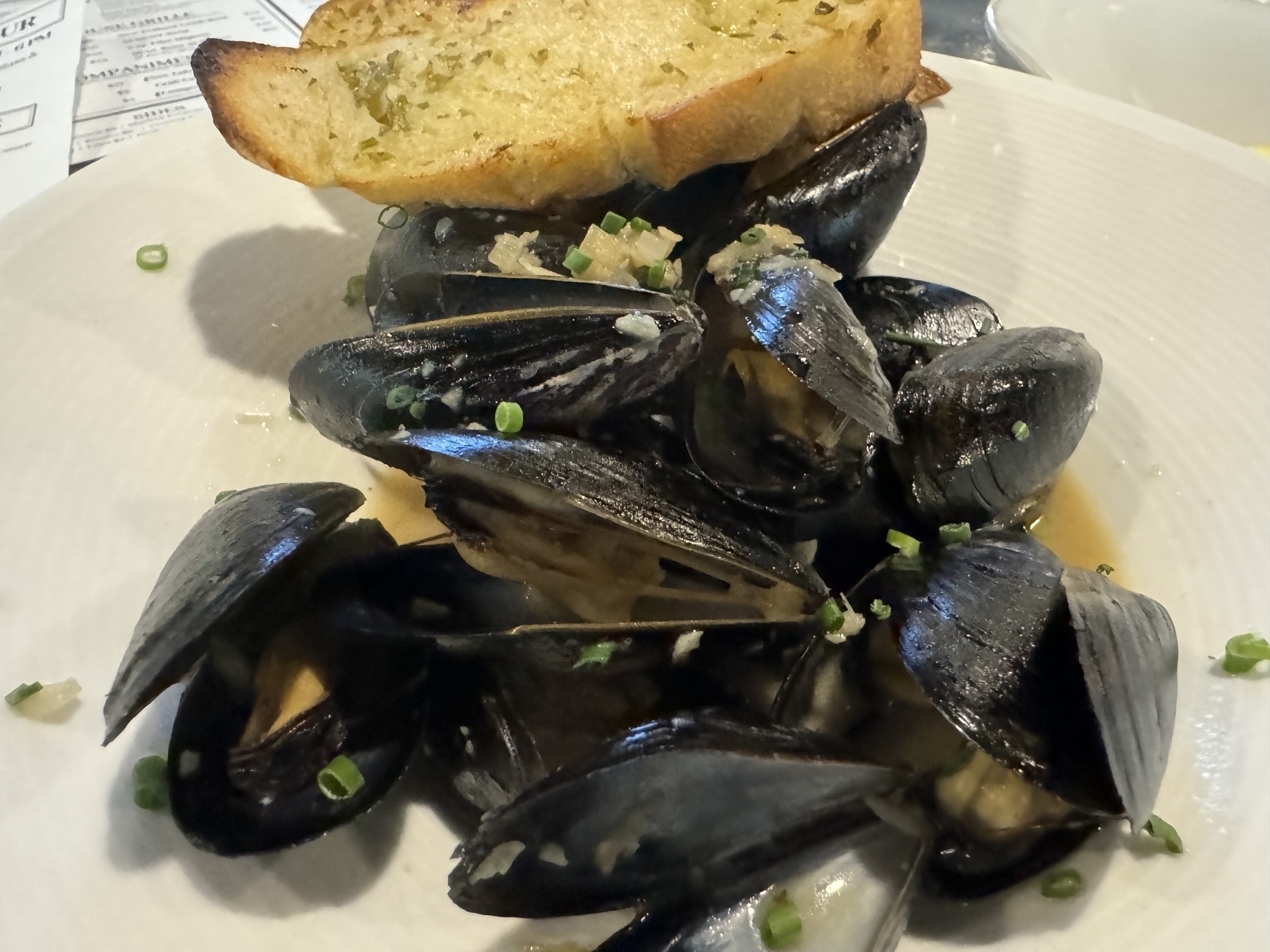 Steamed mussels and garlic bread 