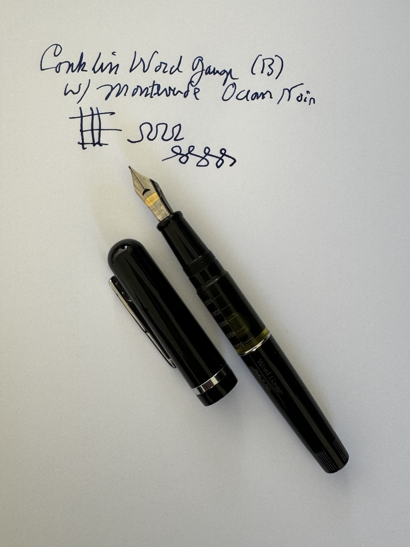 Fountain pen and ink 