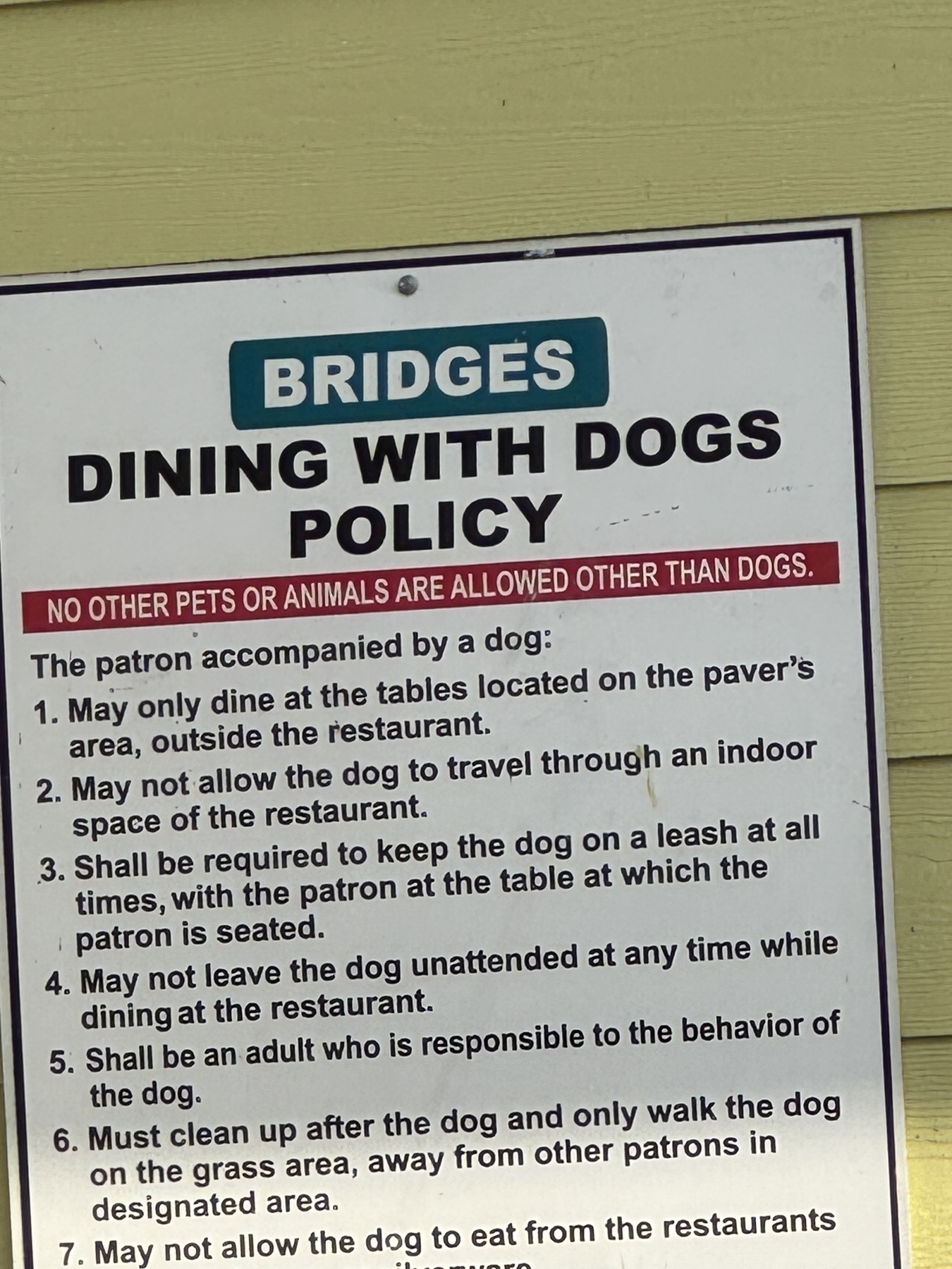 “Dining With Dogs”