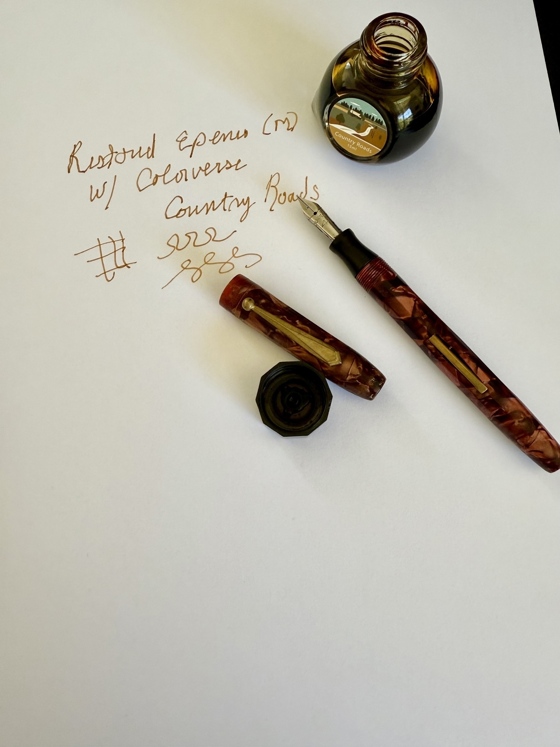 Fountain pen and ink 