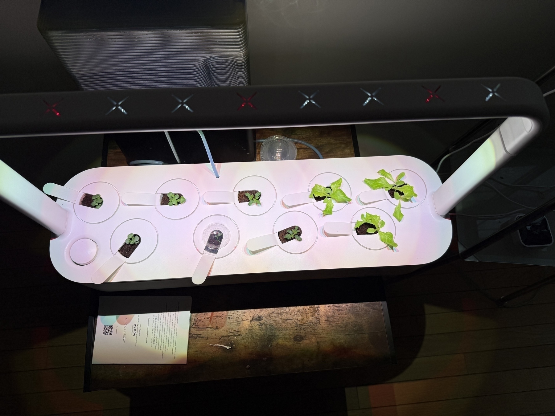 Hydroponic garden 