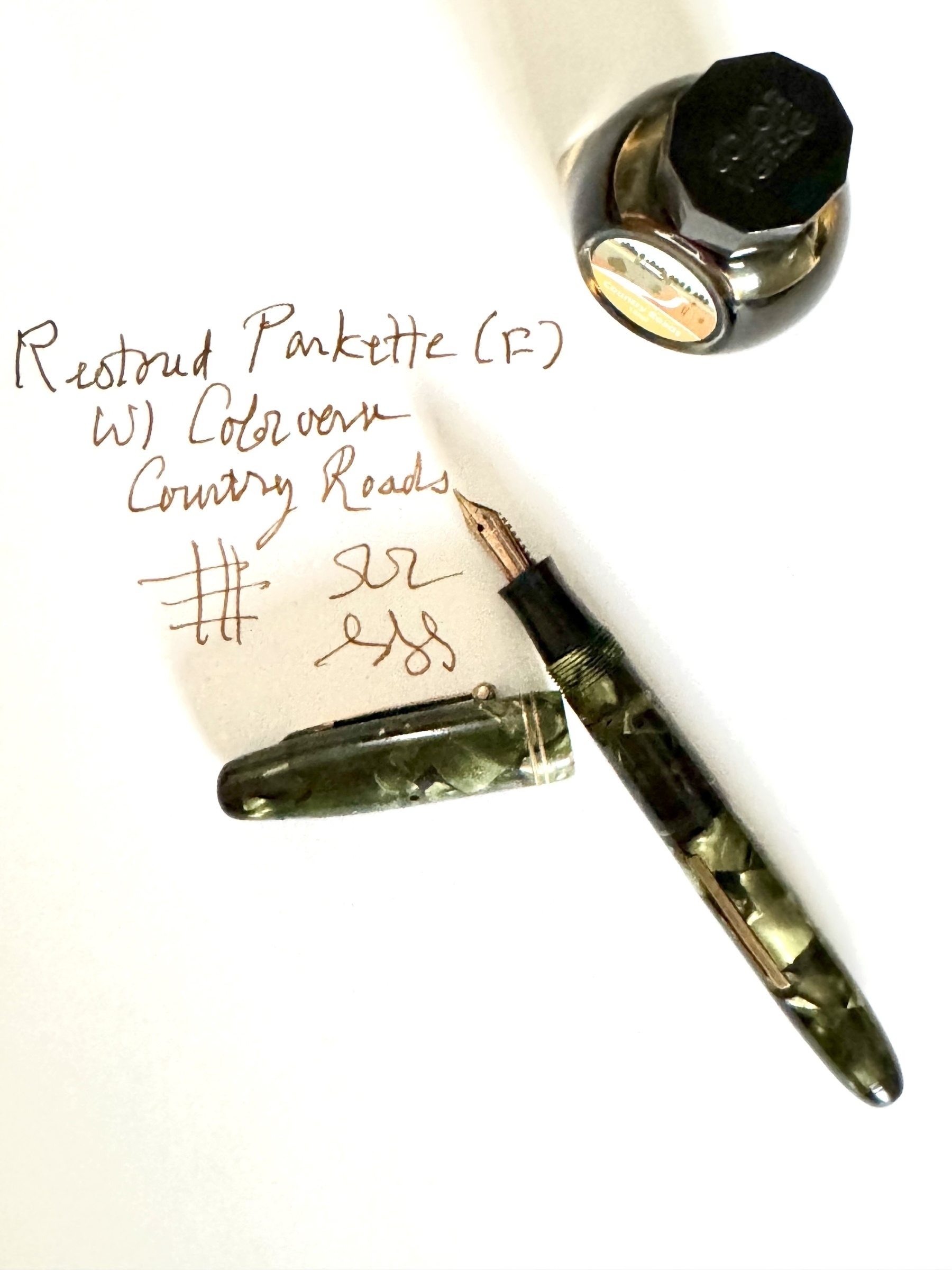 Fountain pen and ink 