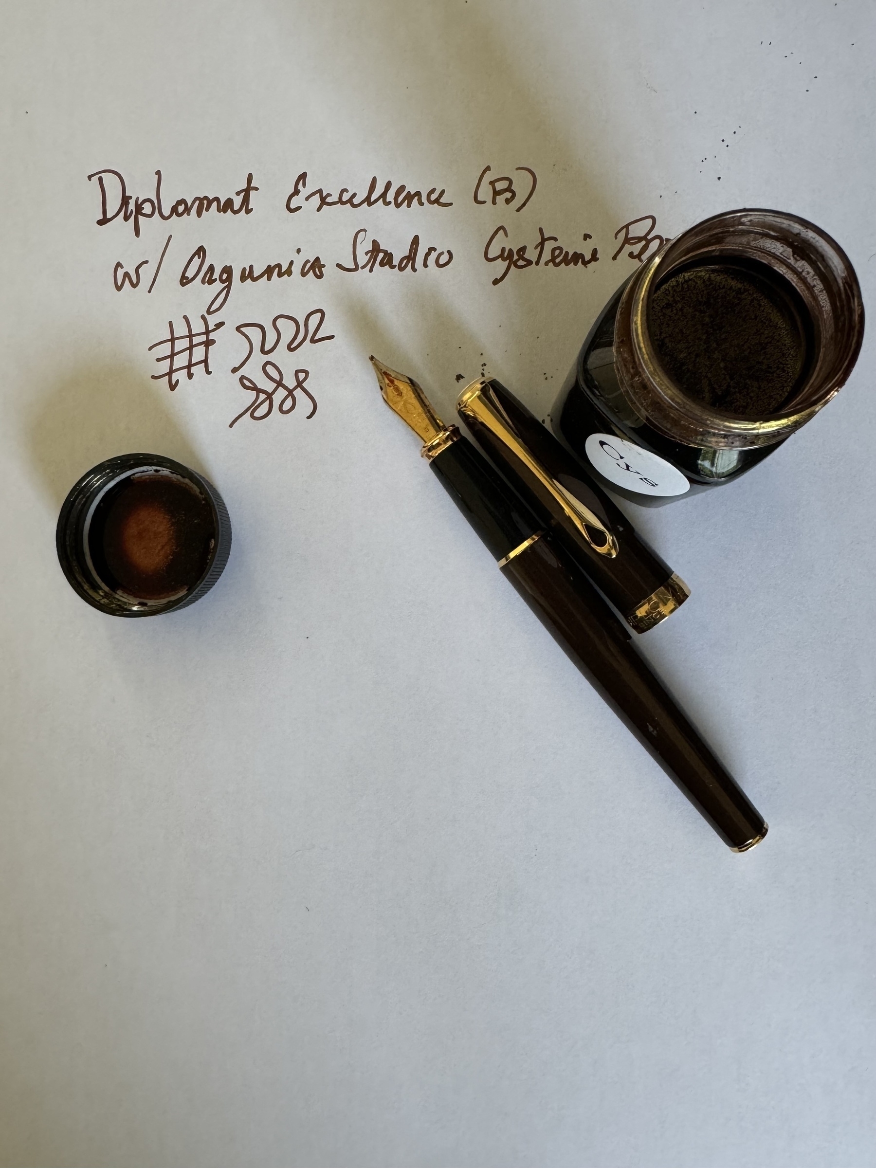 Fountain pen and ink