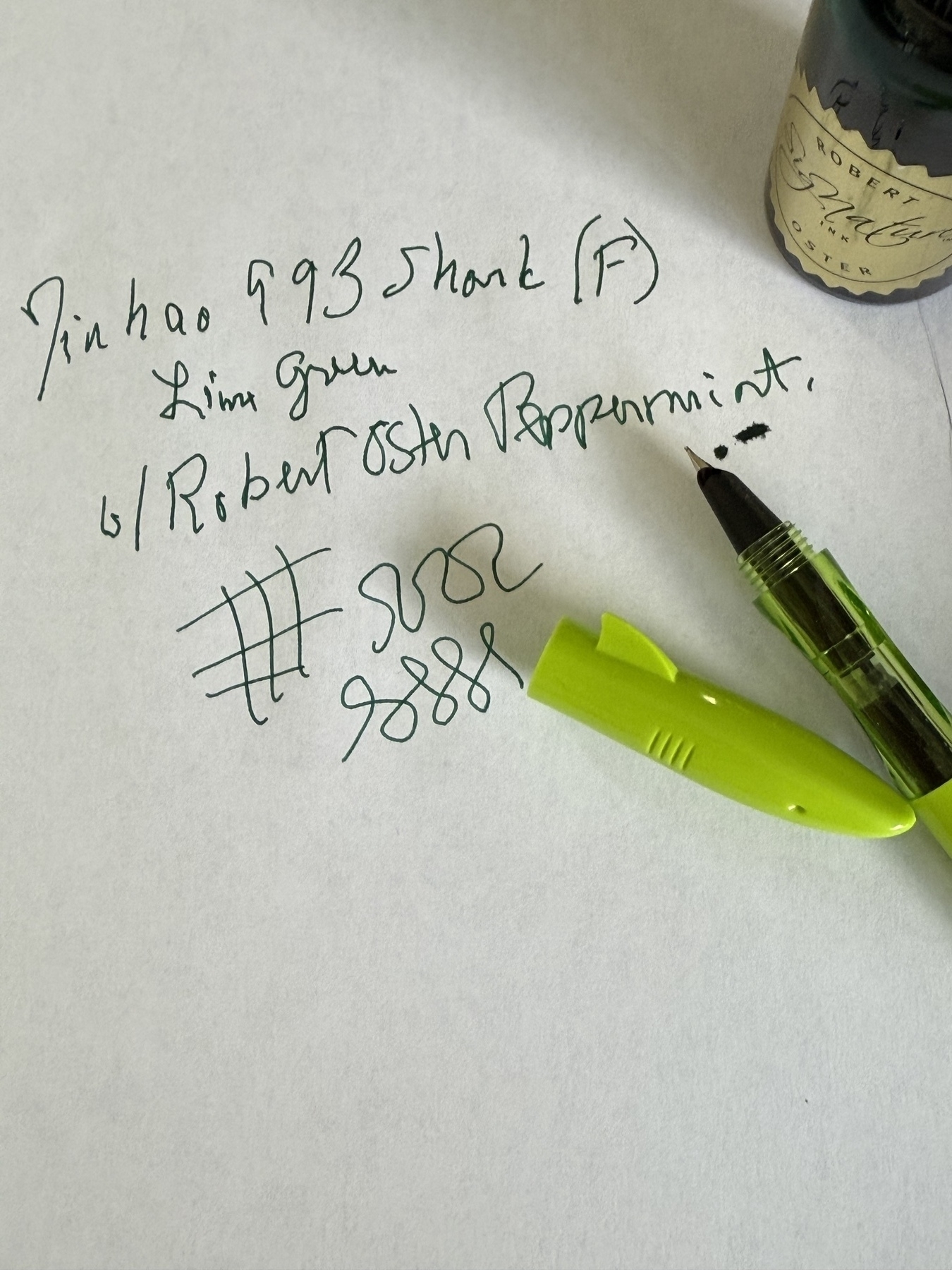 Fountain pen and ink 