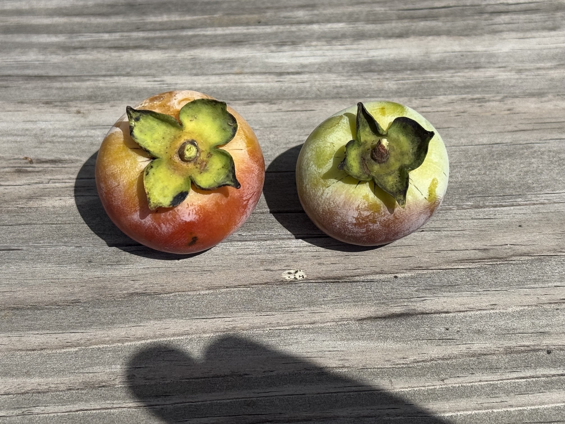 Persimmons 
