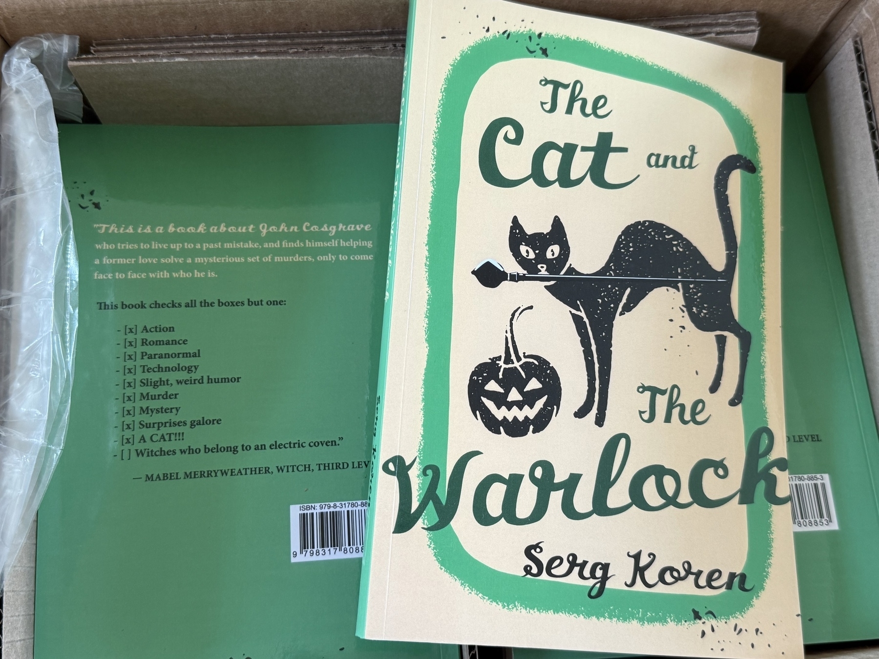 Box of “The Cat and the Warlock” books