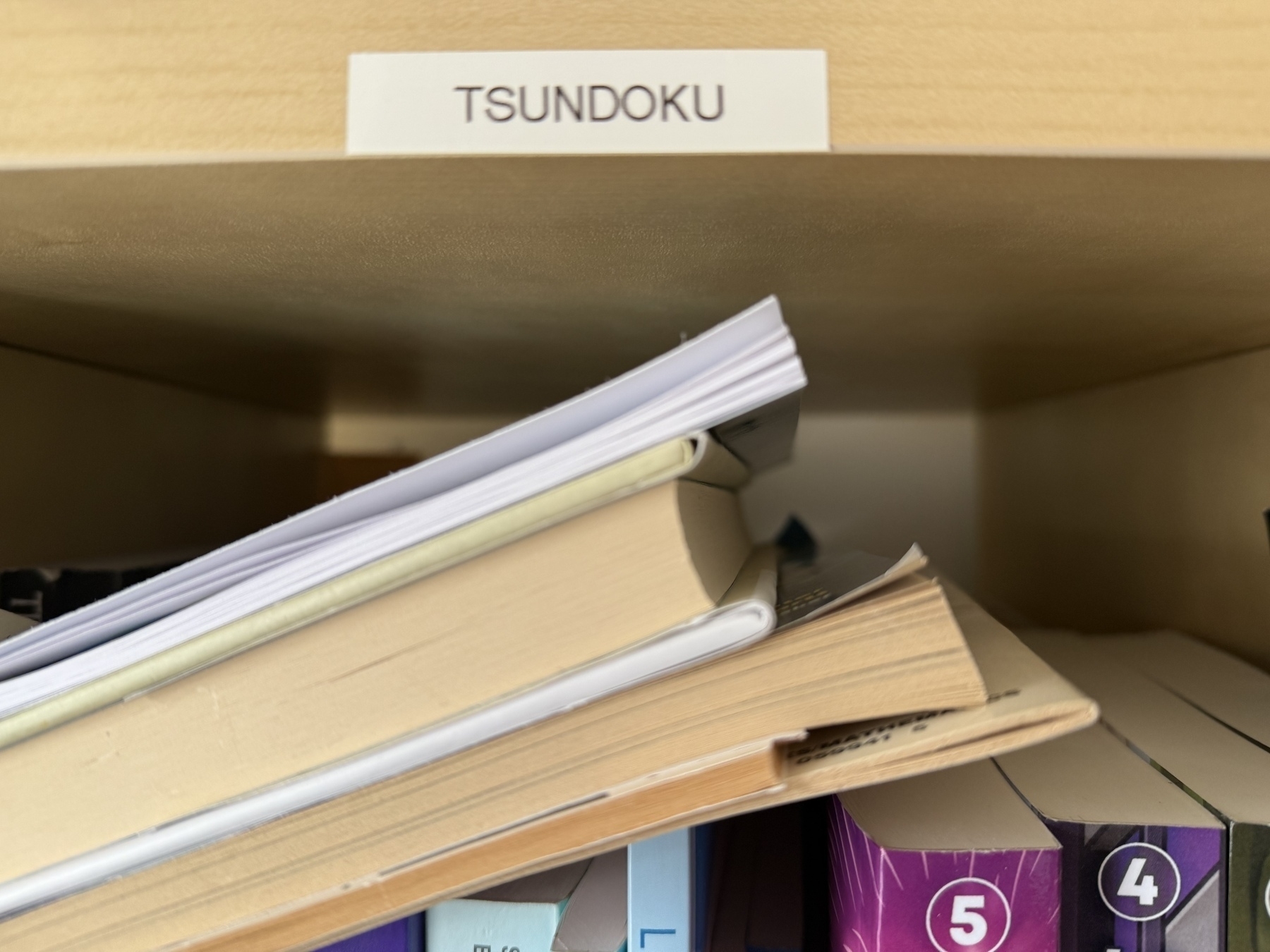 Tsundoku shelf