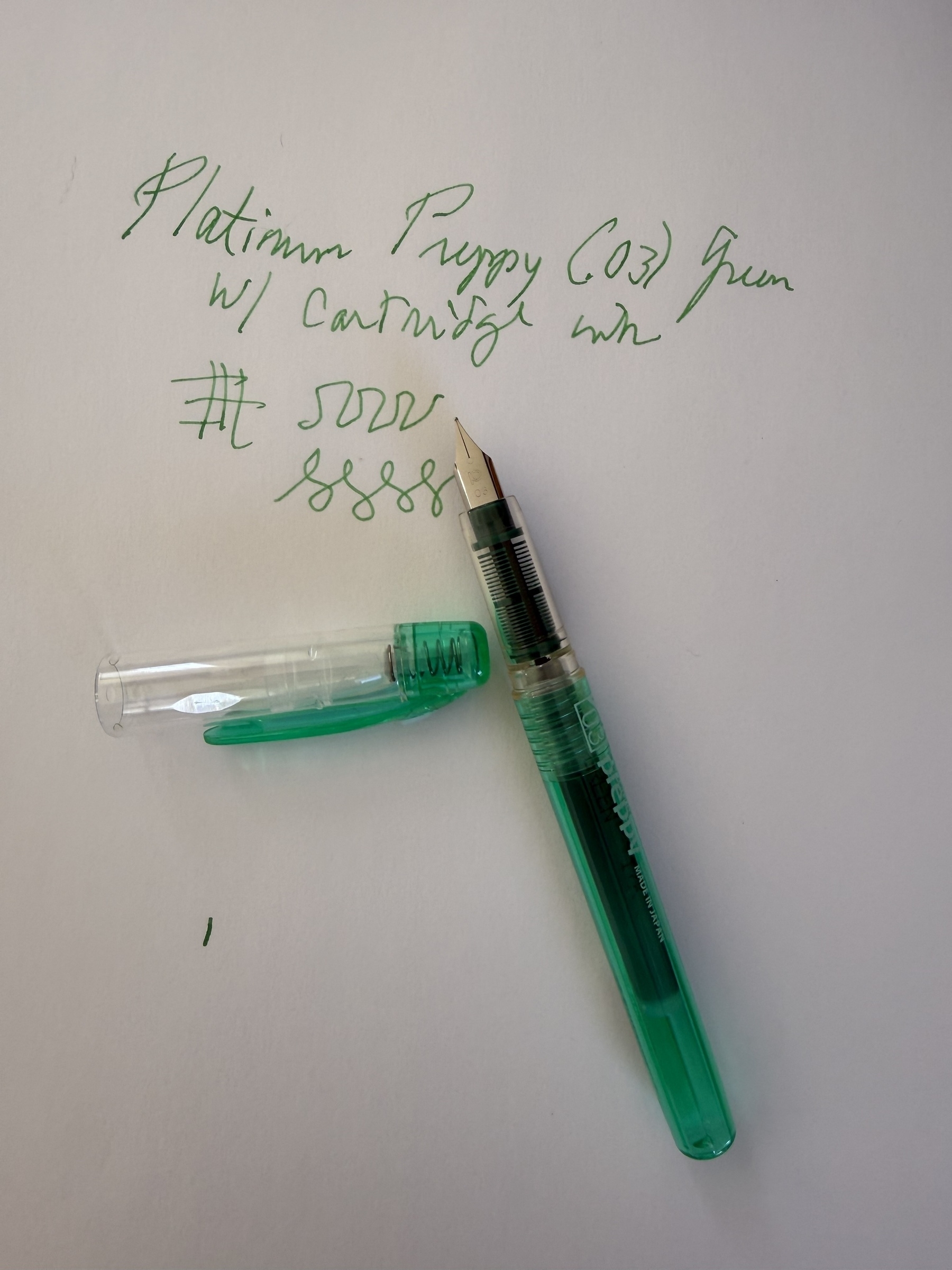 Fountain pen and ink