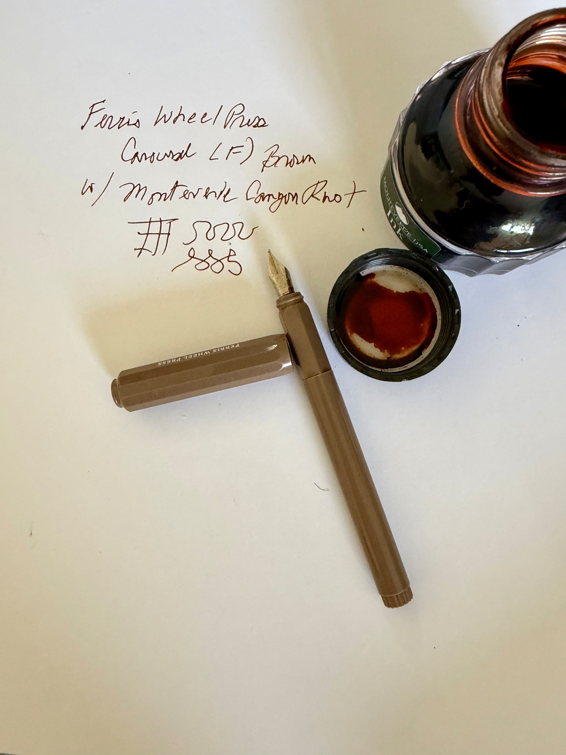 Fountain pen and ink.