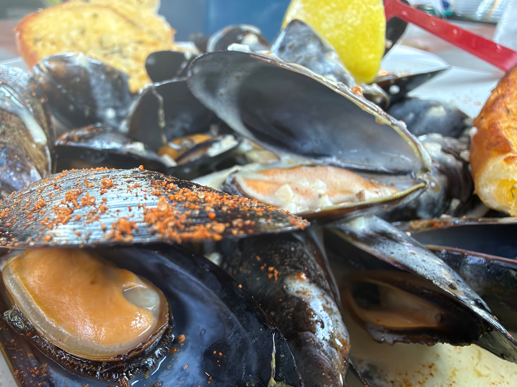 Mussels in garlic cream sauce 
