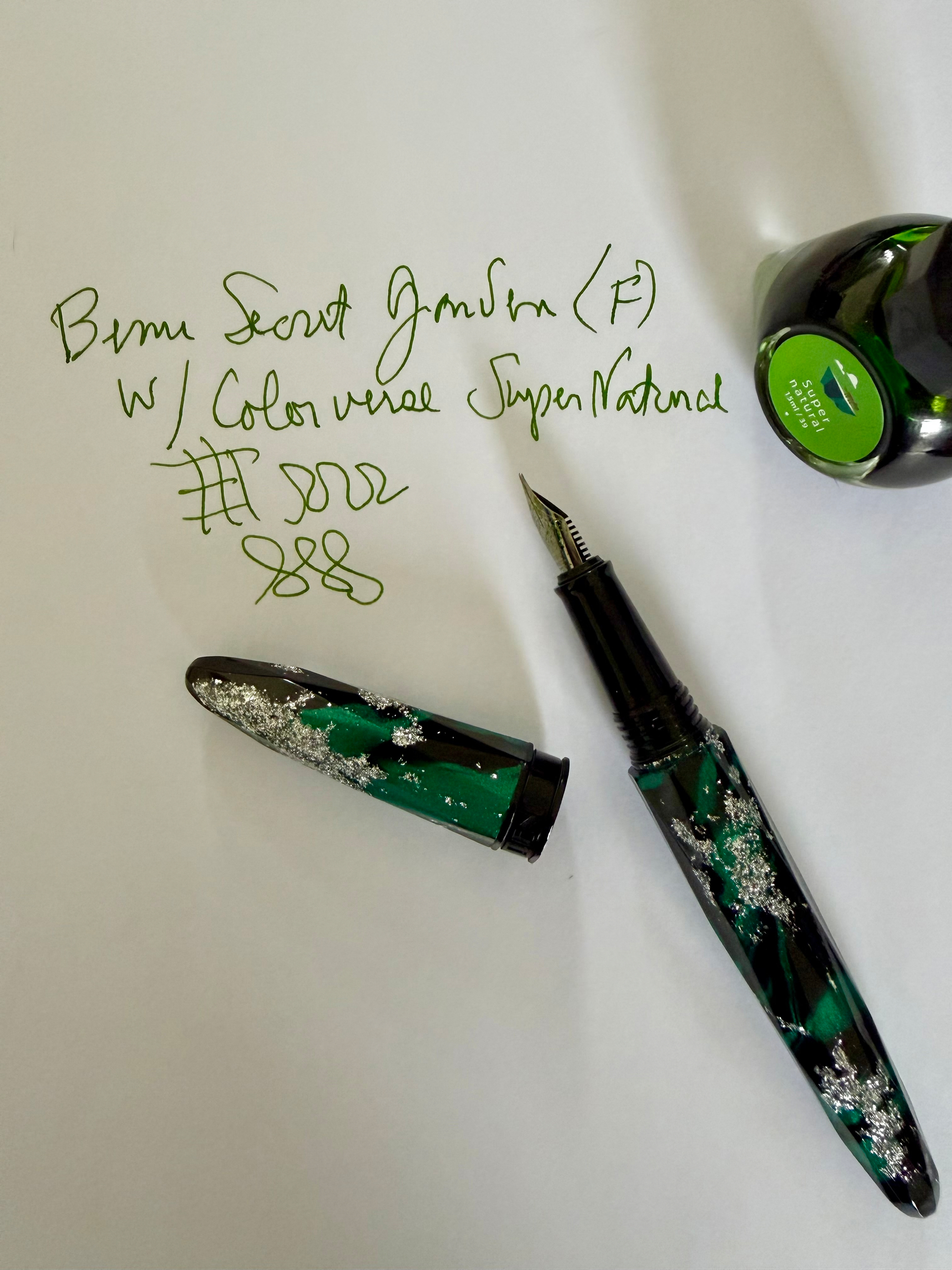 Fountain pen and ink 