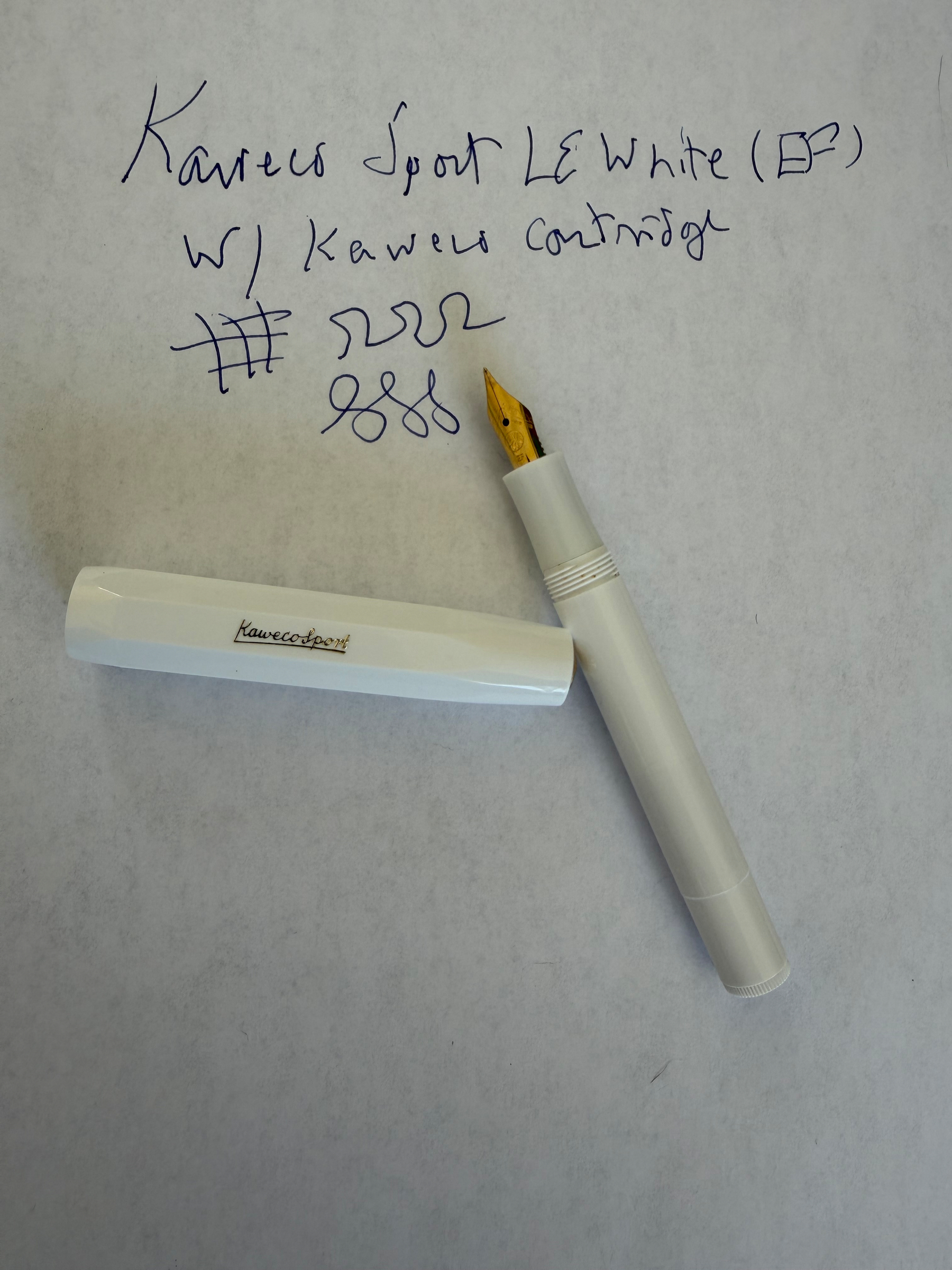 Fountain pen and ink 