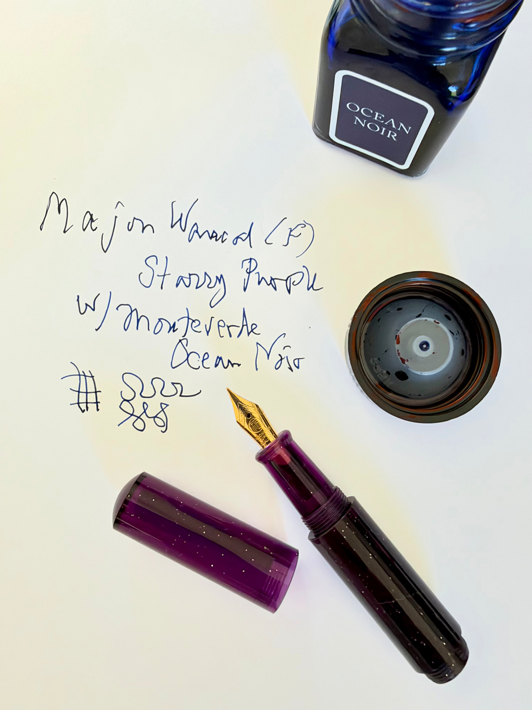 Fountain pen and ink
