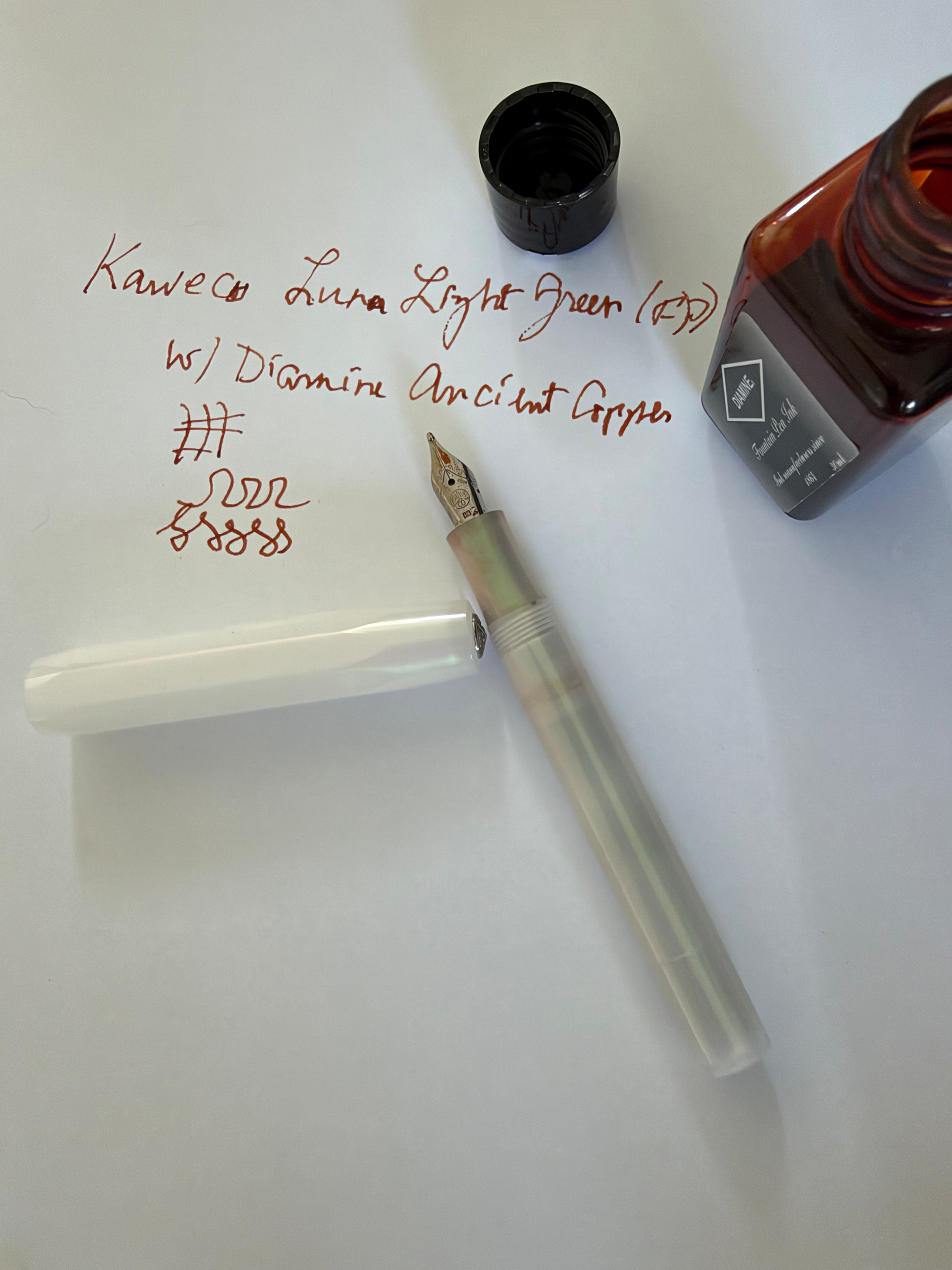 Fountain pen and ink 