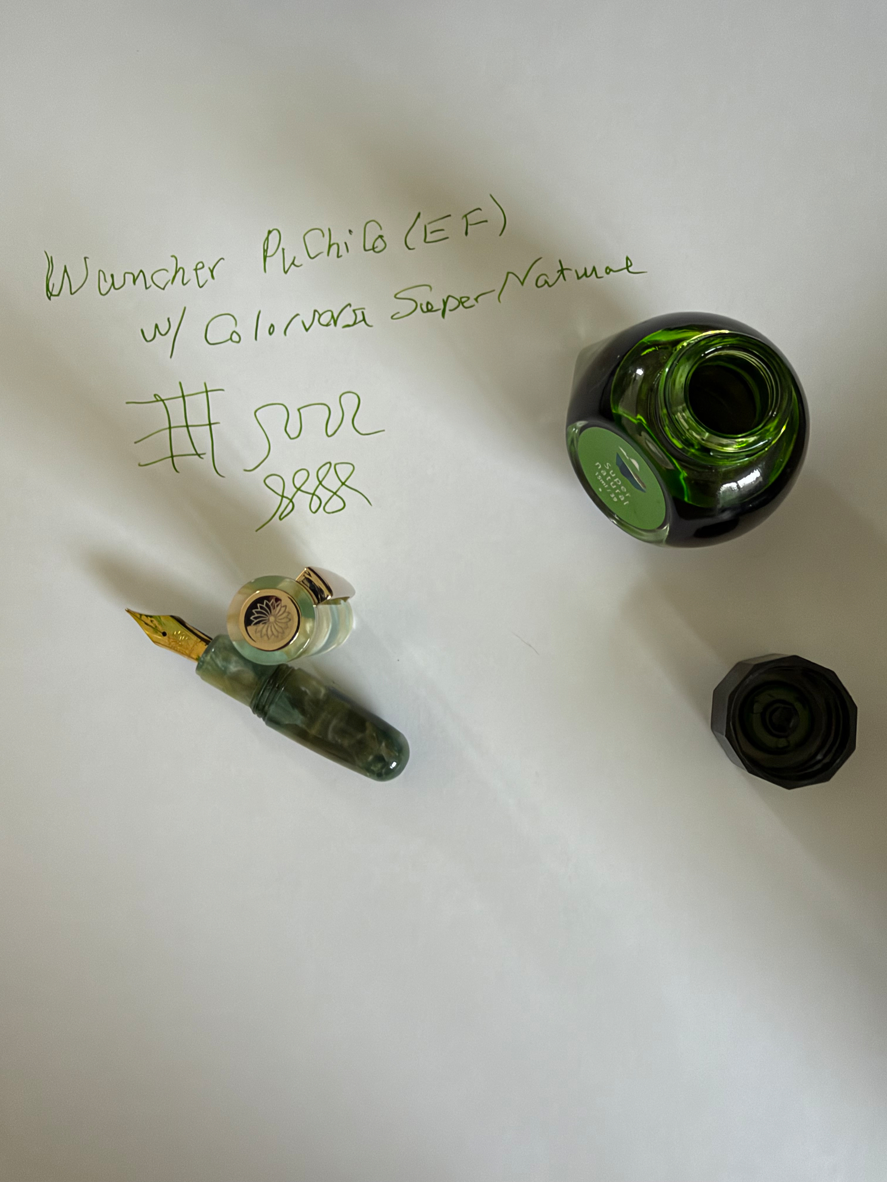 Fountain pen and ink 