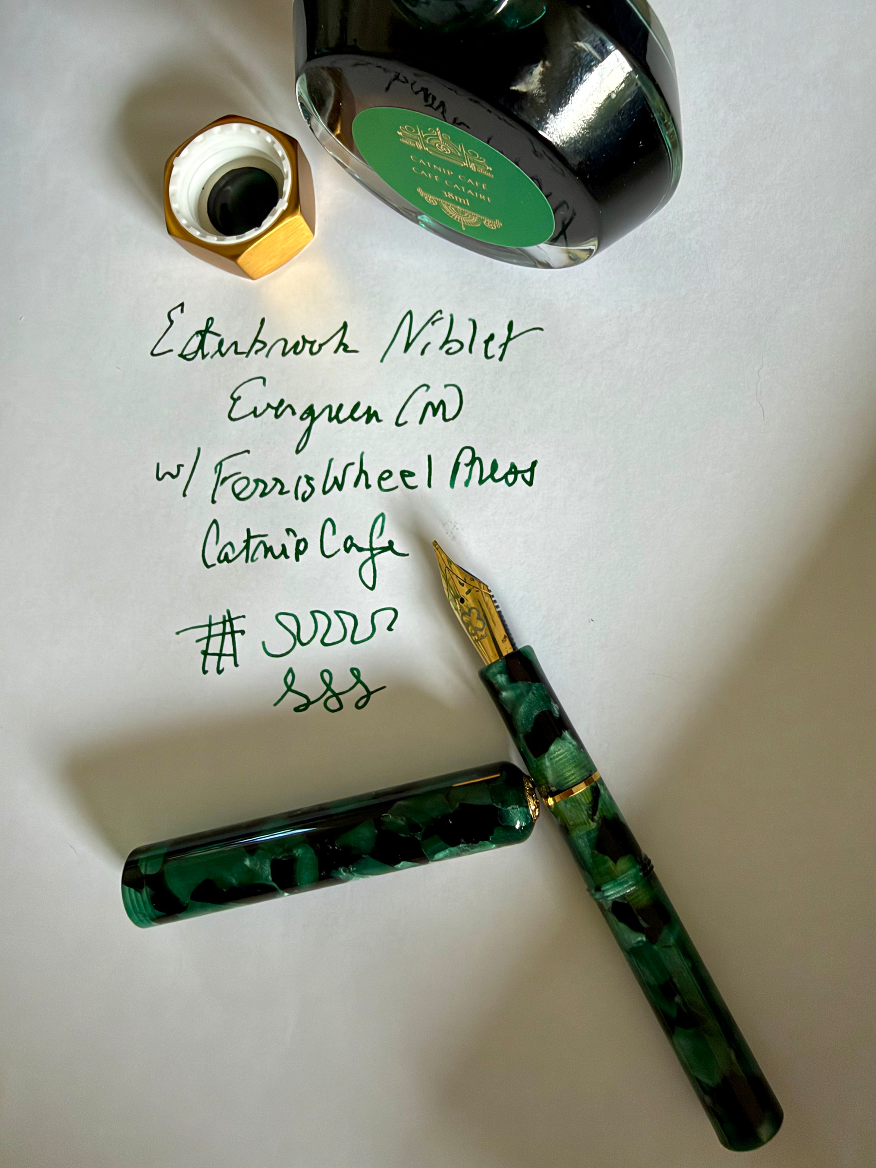 Fountain pen and ink. 