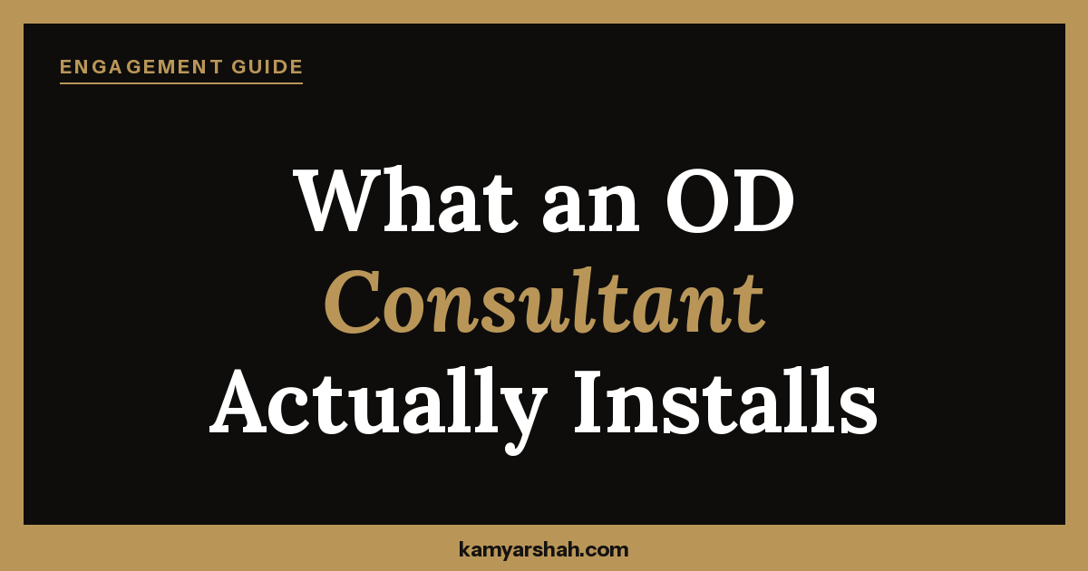 Organizational Development Consultant - Kamyar Shah, Fractional COO