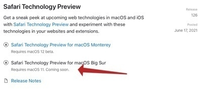 Safari beta for Big Sur coming soon.
