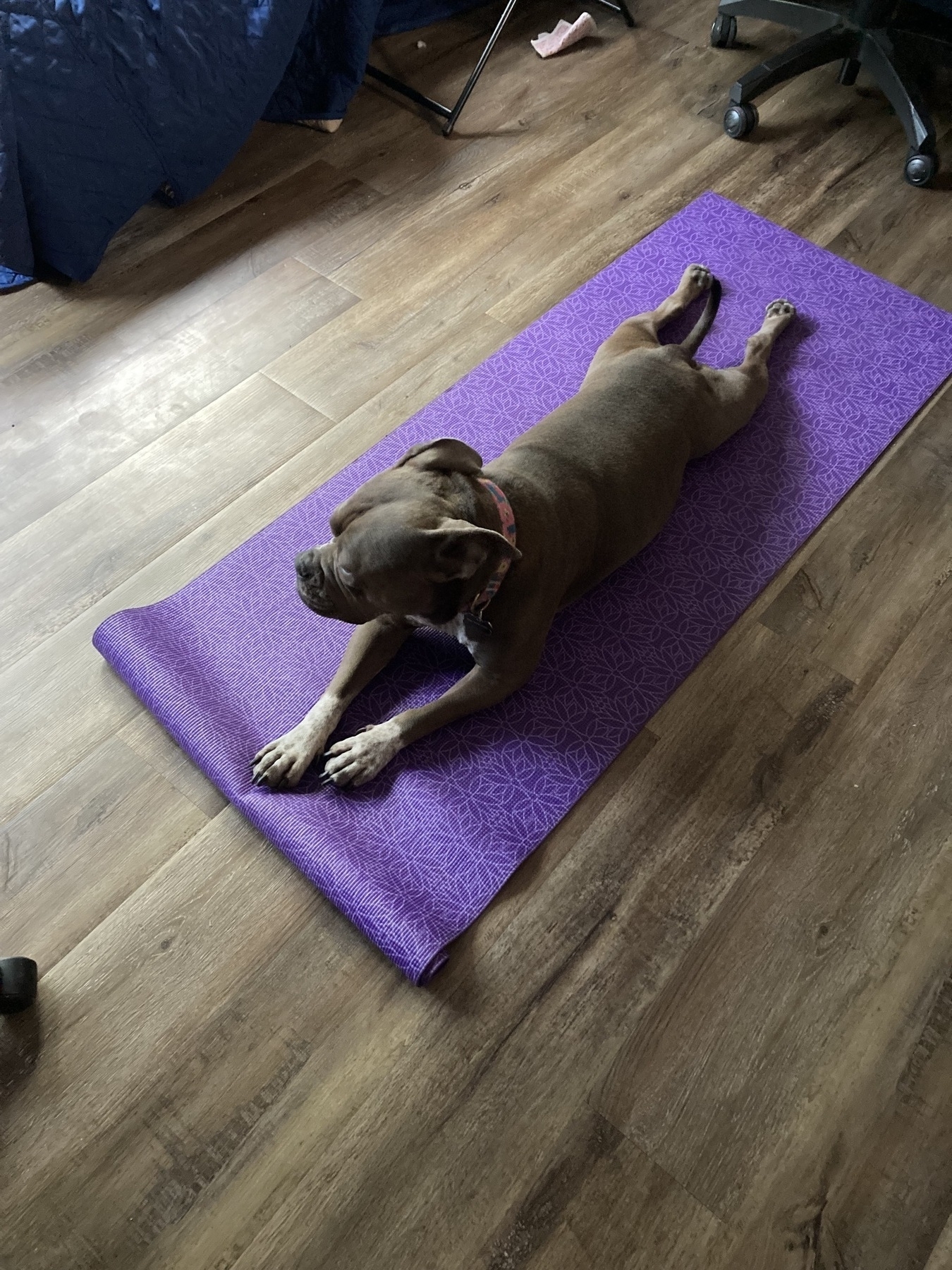 Do laying on yoga mat.