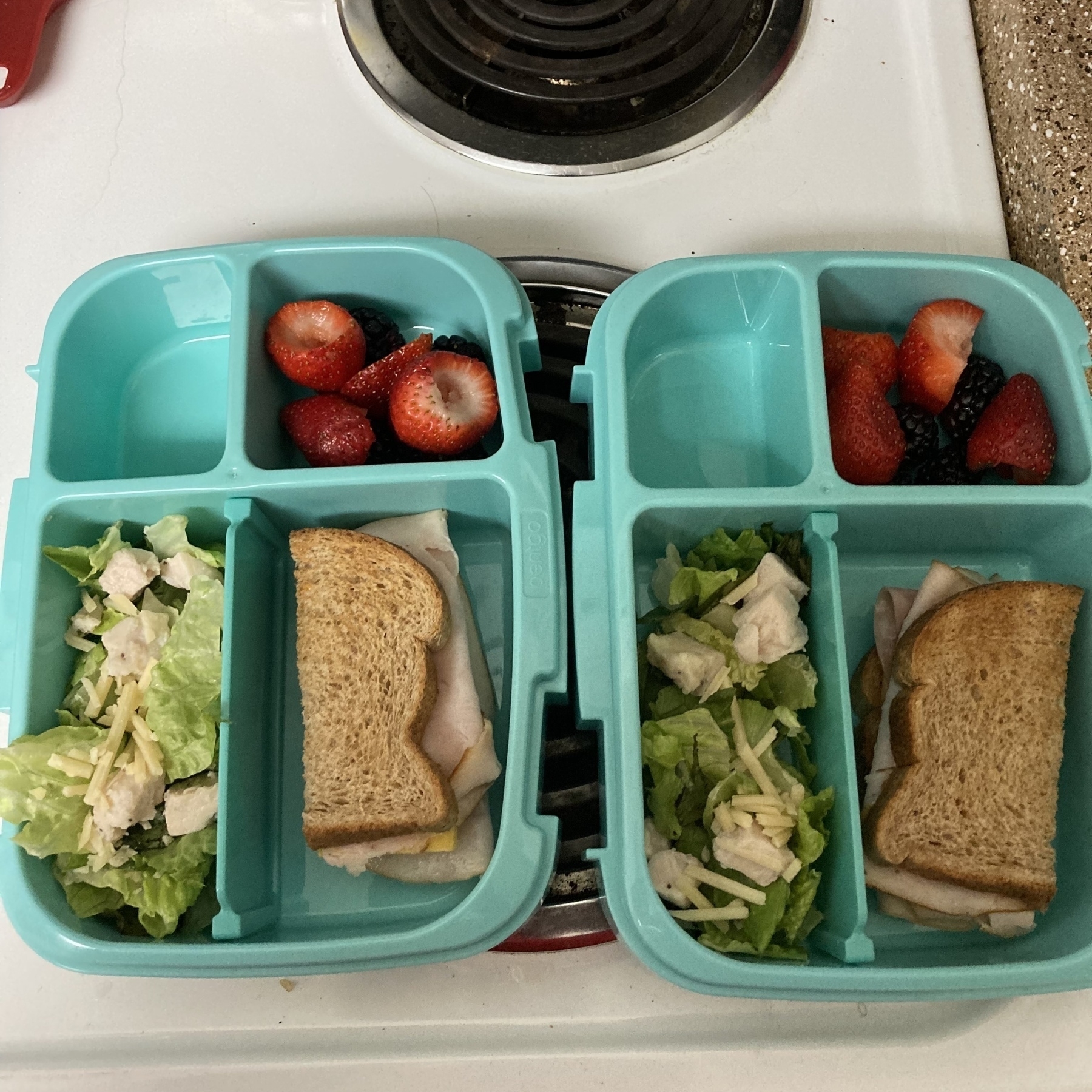 A bento box with a salad, sandwich and fresh fruit. 