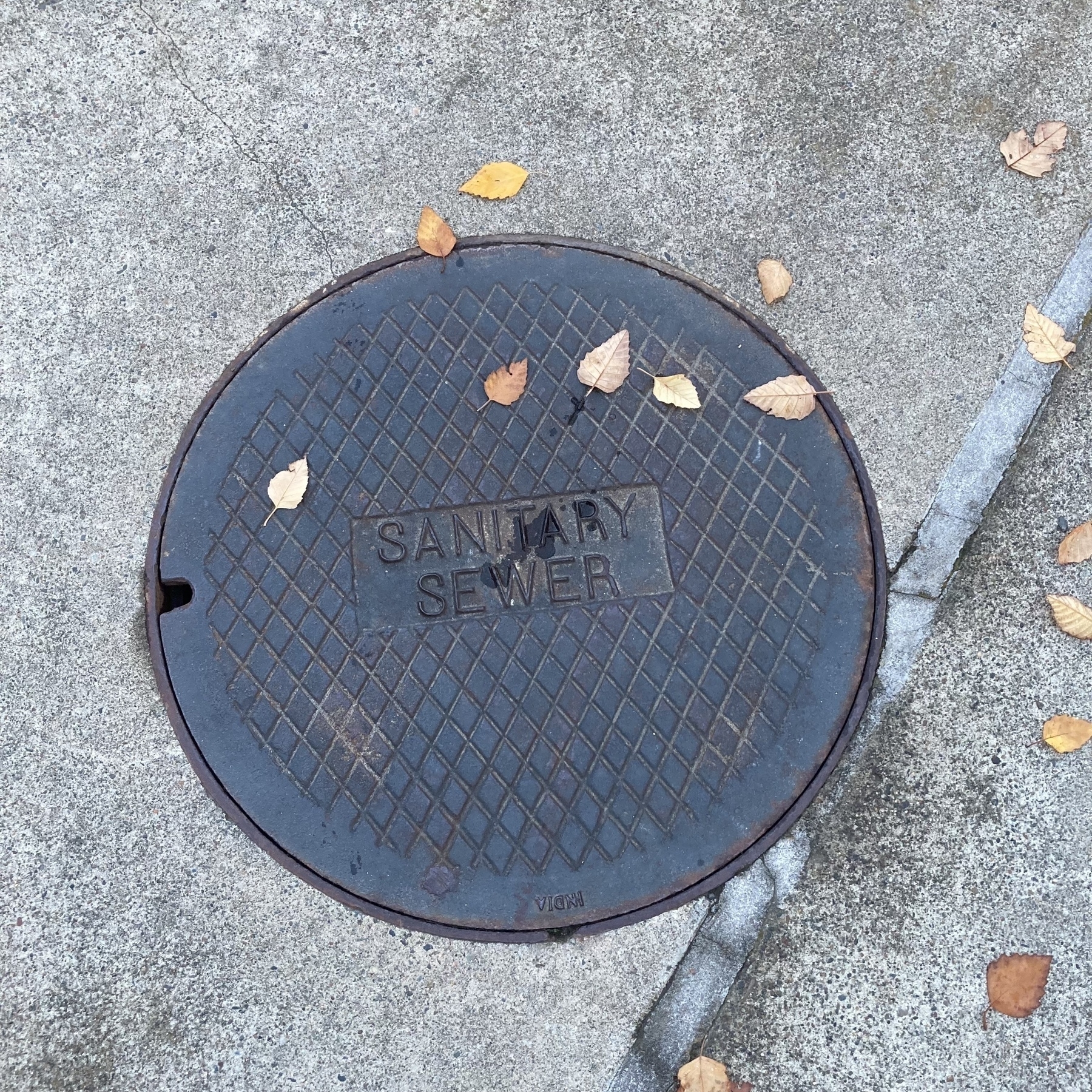 A round, metal manhole cover labeled "SANITARY SEWER" is surrounded by fallen leaves on a concrete surface.