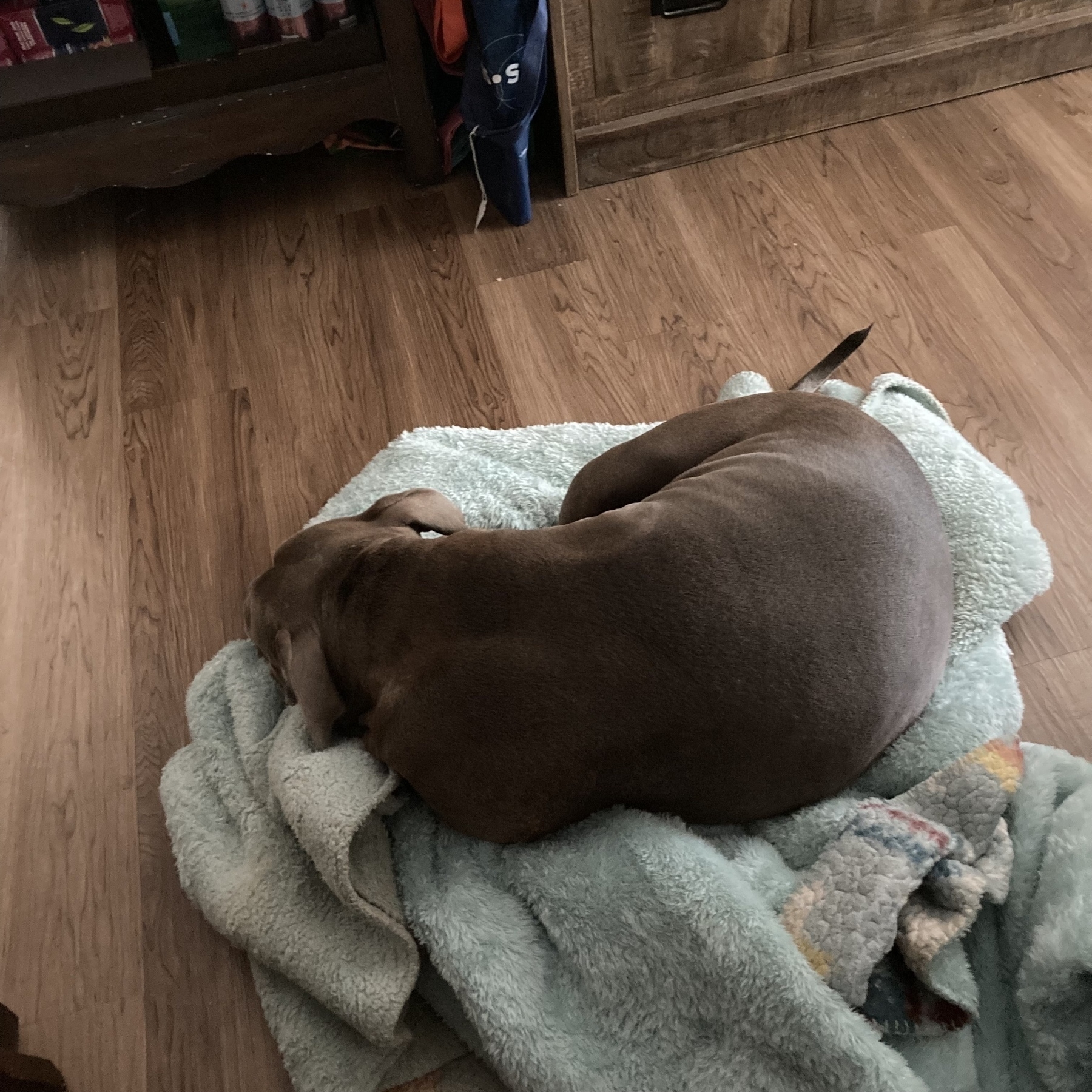 Lillie sitting on a blanket 