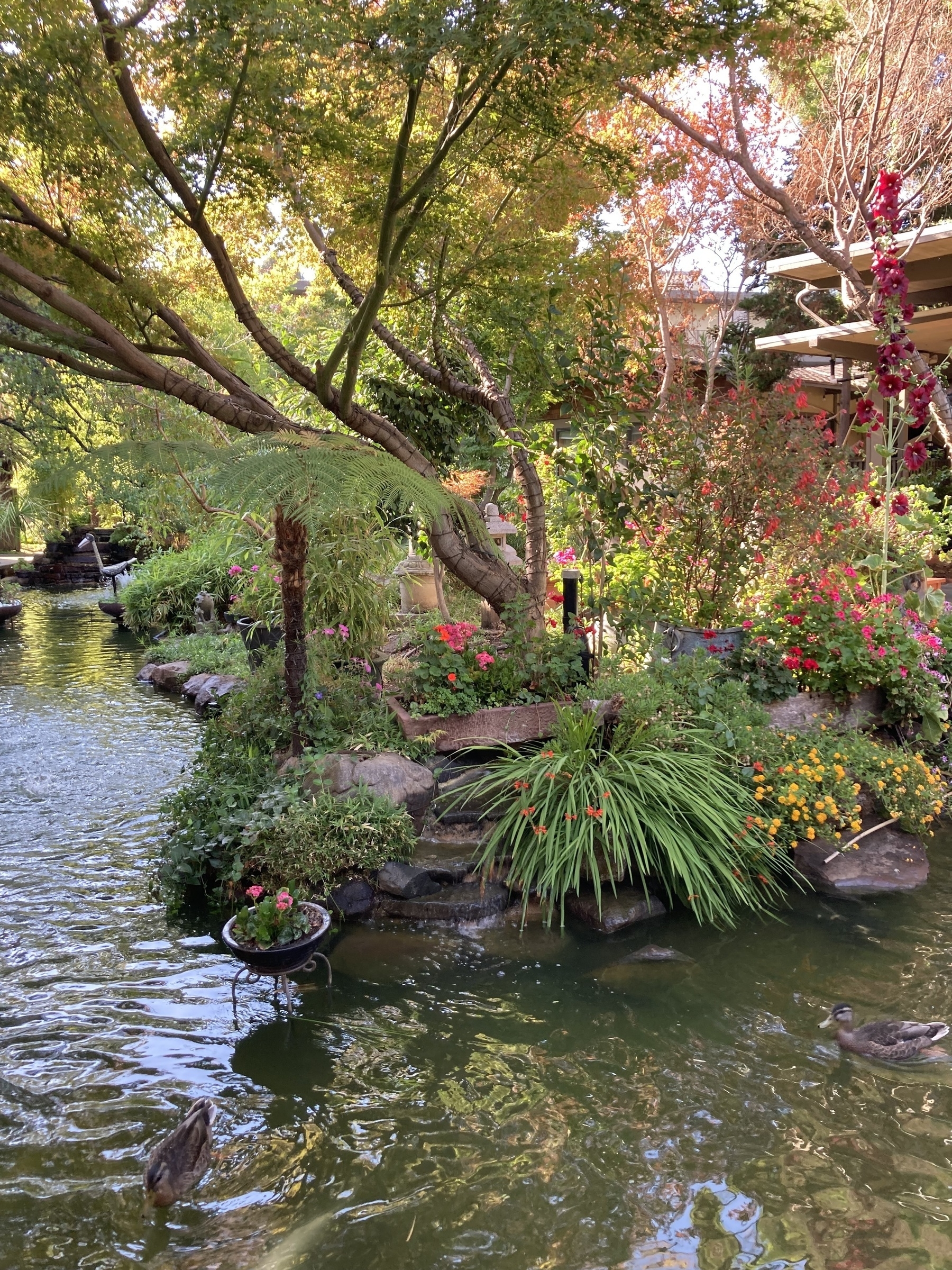 A small island on a pond. 