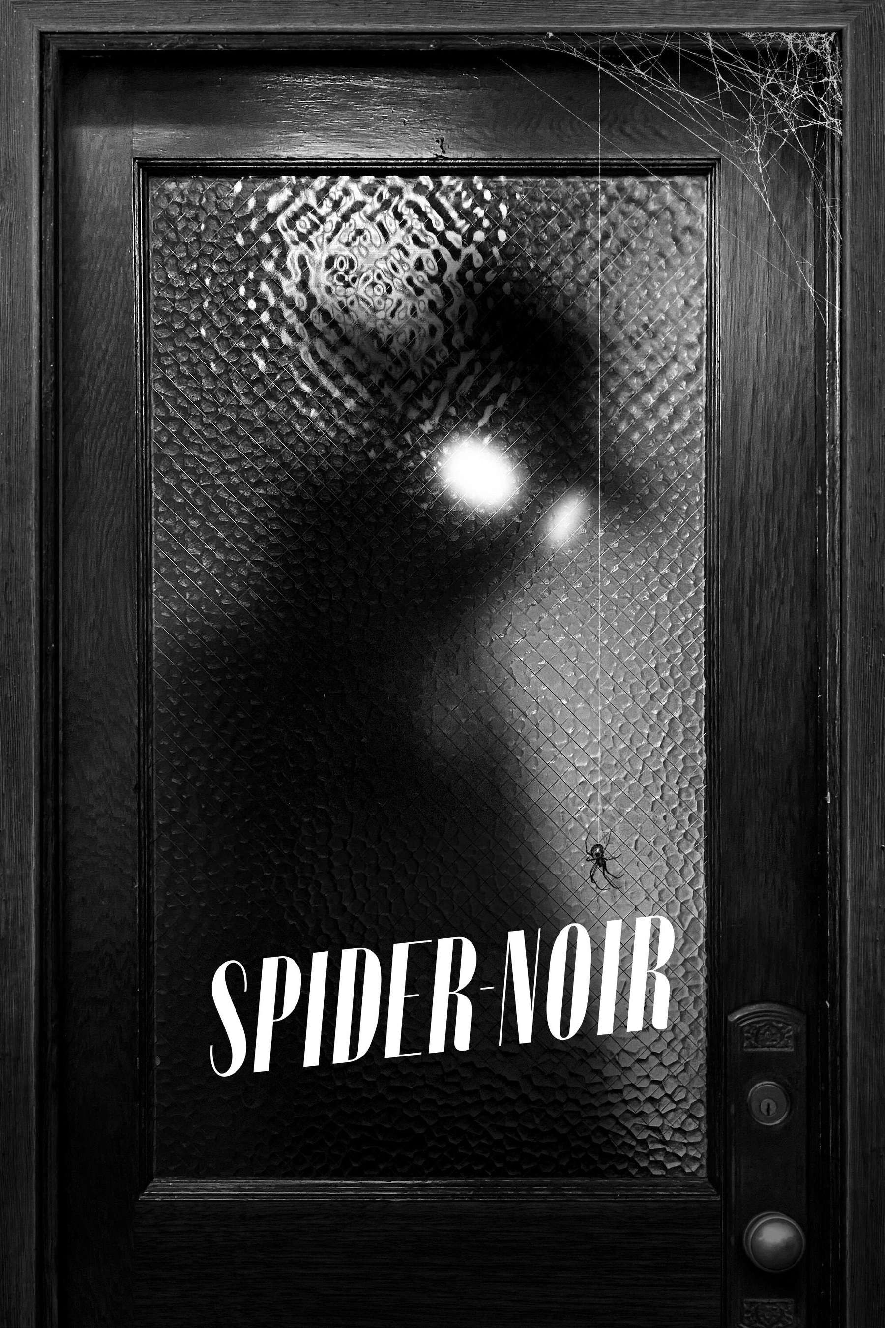 A shadowy figure standing behind frosted glass with the words Spider Noir written on it.