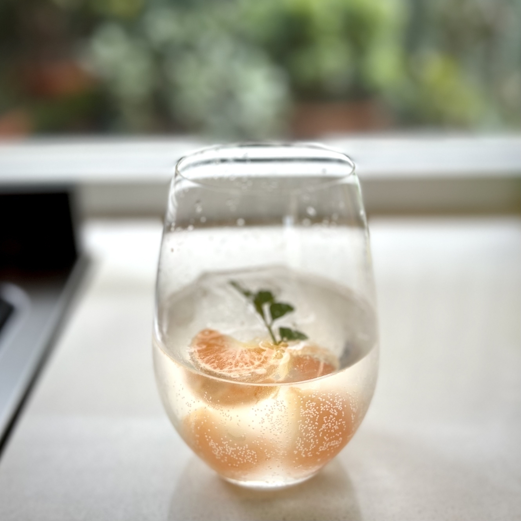 A stemless glass with a non-alcoholic drink in it with pieces of citrus and lime native lime leaves in it. Plants are blurred in the background. 