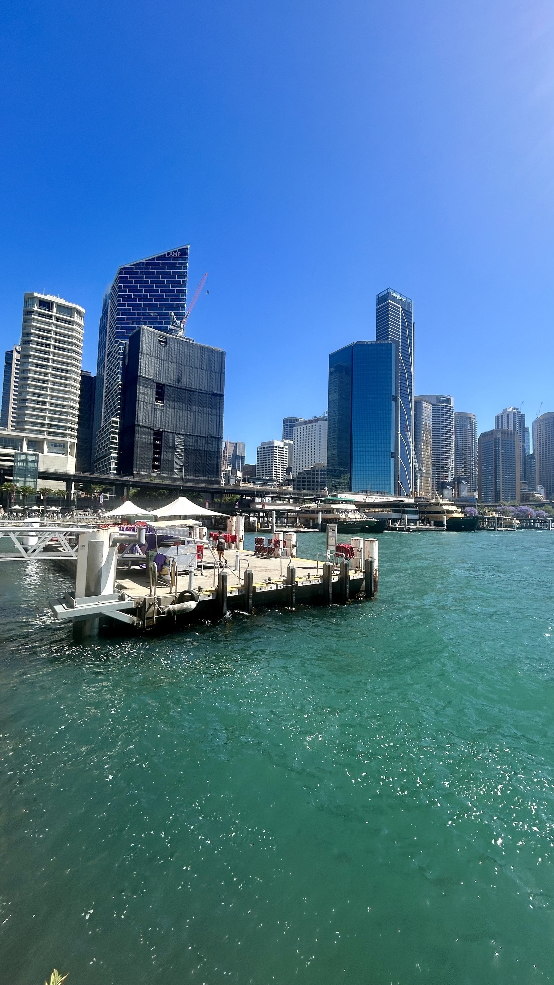 Circular Quay in Sydney with green water in foreground and skyscrapers in background.  