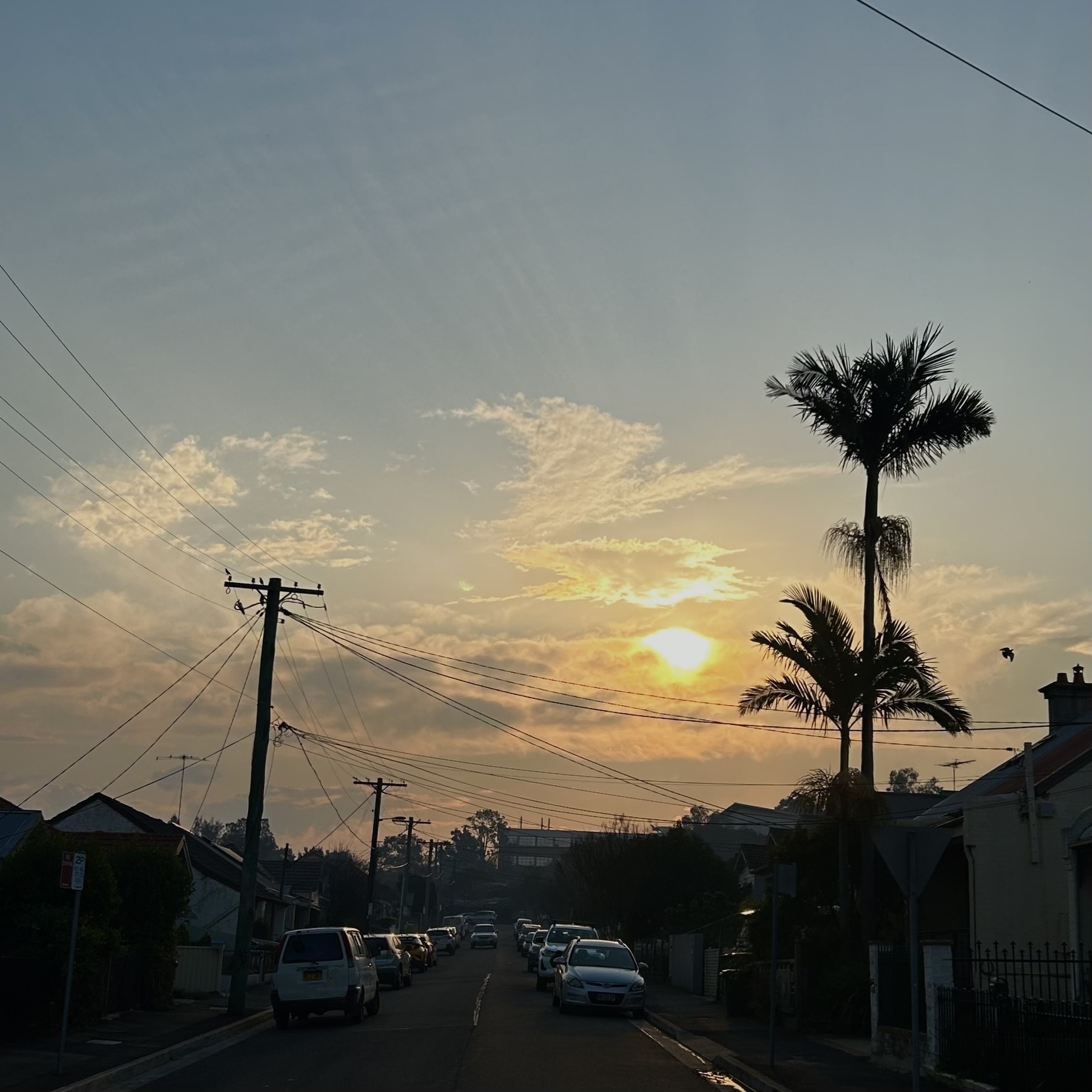 Hazy skyline, with a red sun