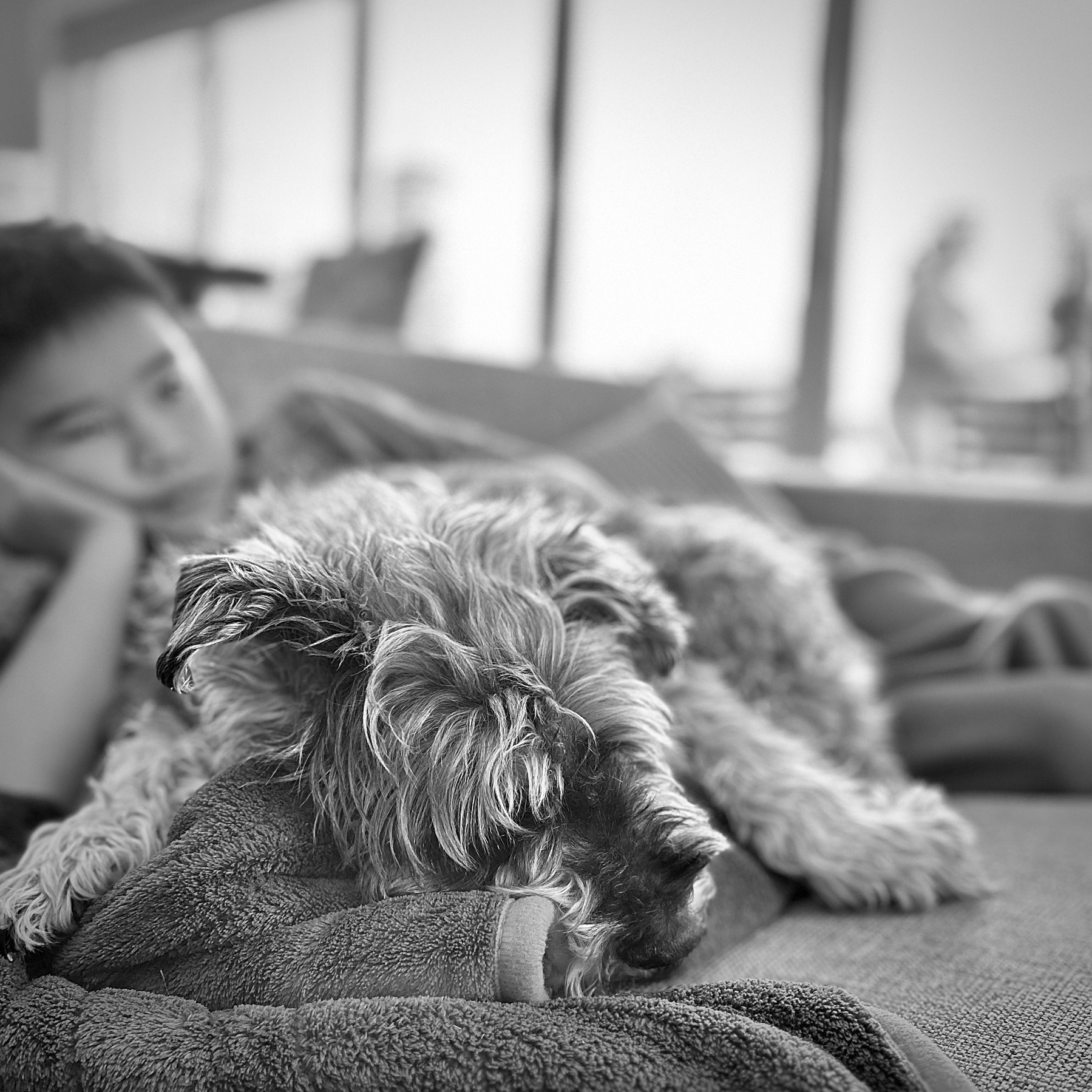 Greyscale photo of a dog on a couch. A child is patting the dog, slightly out of focus. 