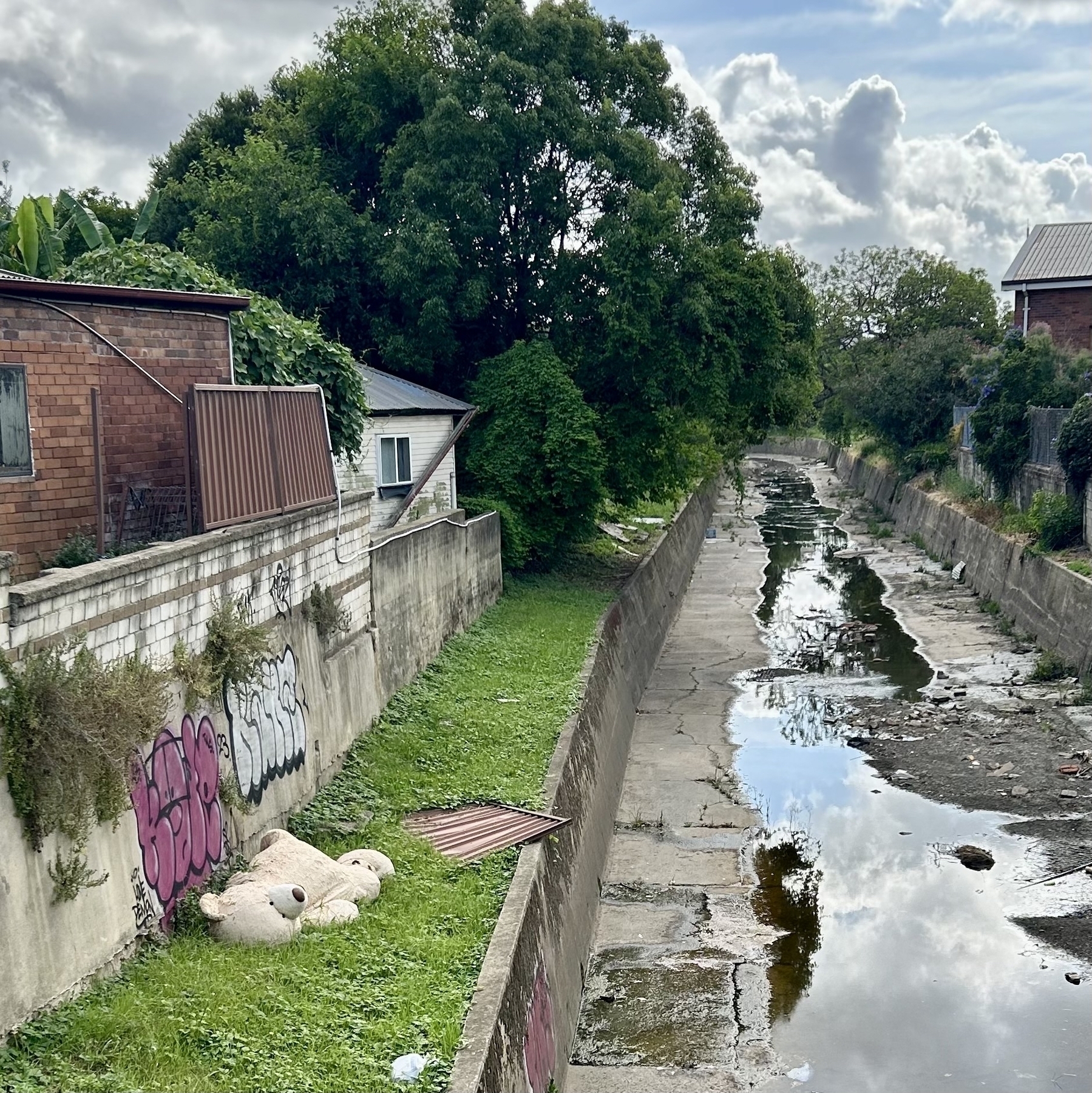 A run-down stormwater canal. In the grass beside it is a giant teddy bear, that's clearly been dumped. 