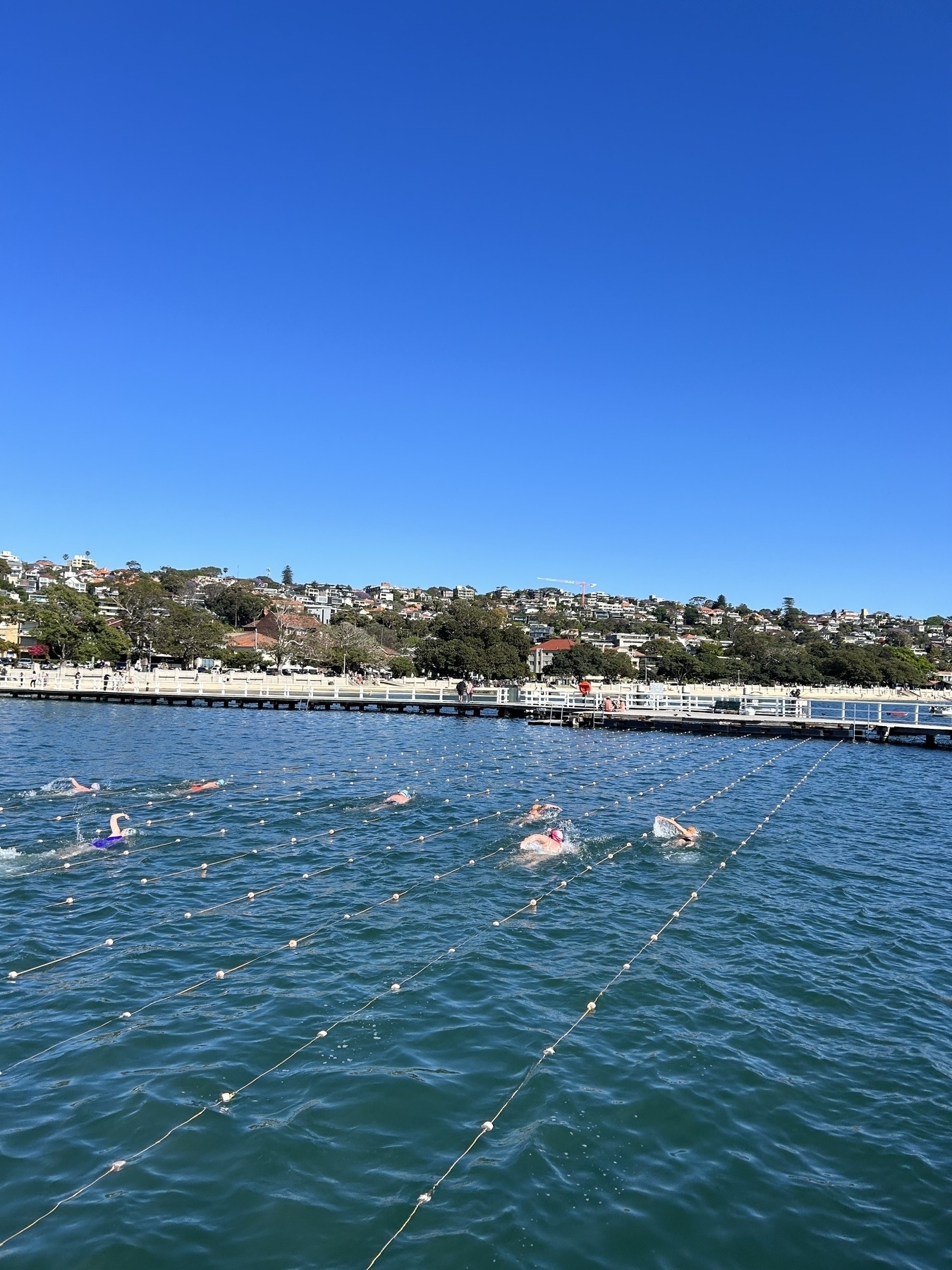 Blue sky and water. Older people are swimming in marked lanes between piers. 