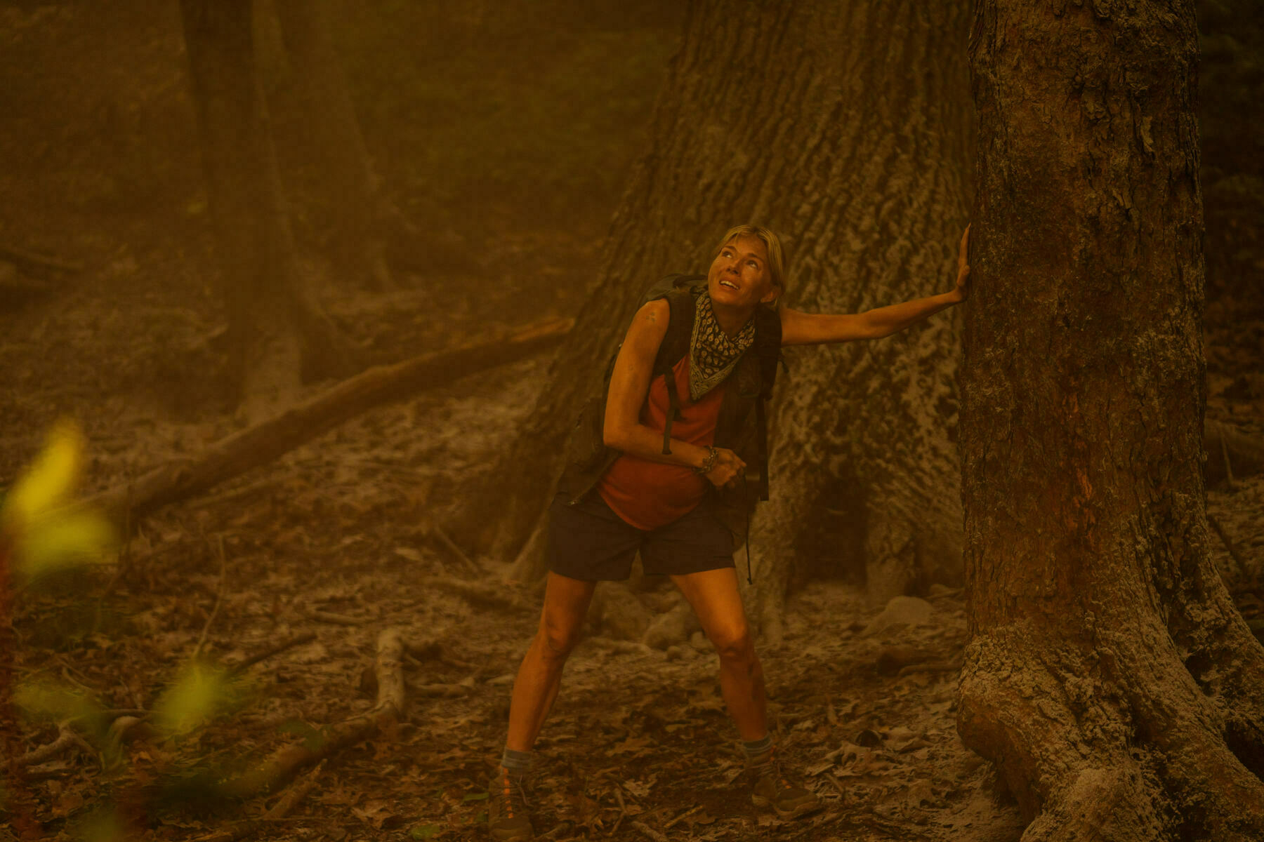 A woman lenas against a giant tree with smoke and the light of forest fires visible. The scene depected shows the actress Sienna Miller in "Extrapolations" onApple TV+