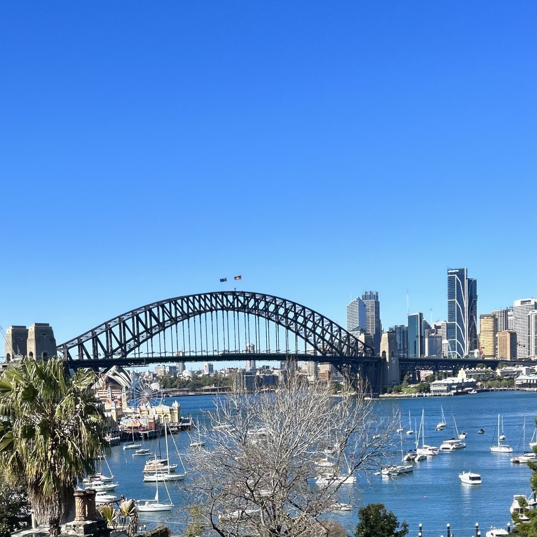 Sydney Harbour Bridge, some moored yachts in the foreground, blue skies. 