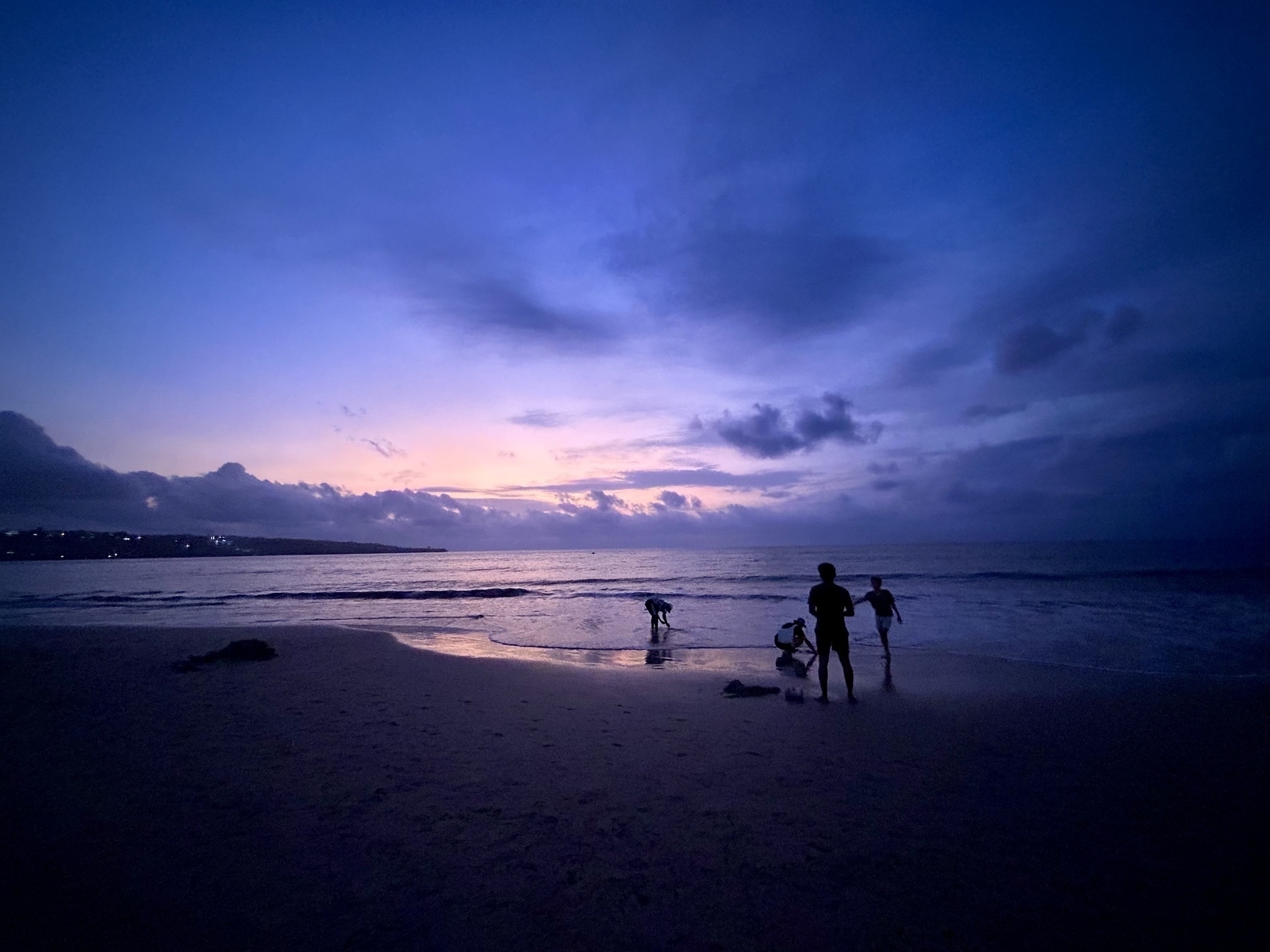 A beach at sunset, with people in the foreground looking in the sand for clams and other shellfish. 