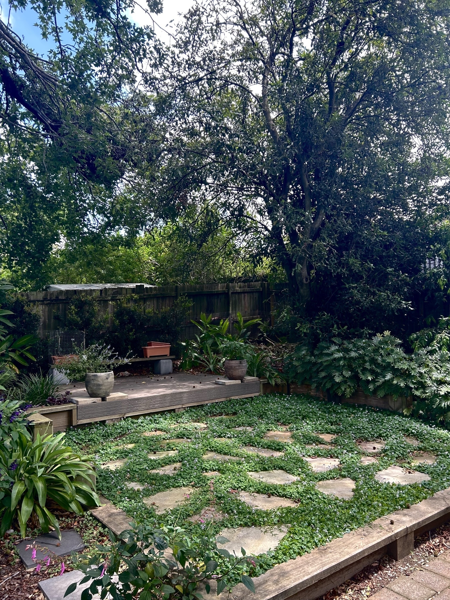 Trees hanging over a paved backyard area. 