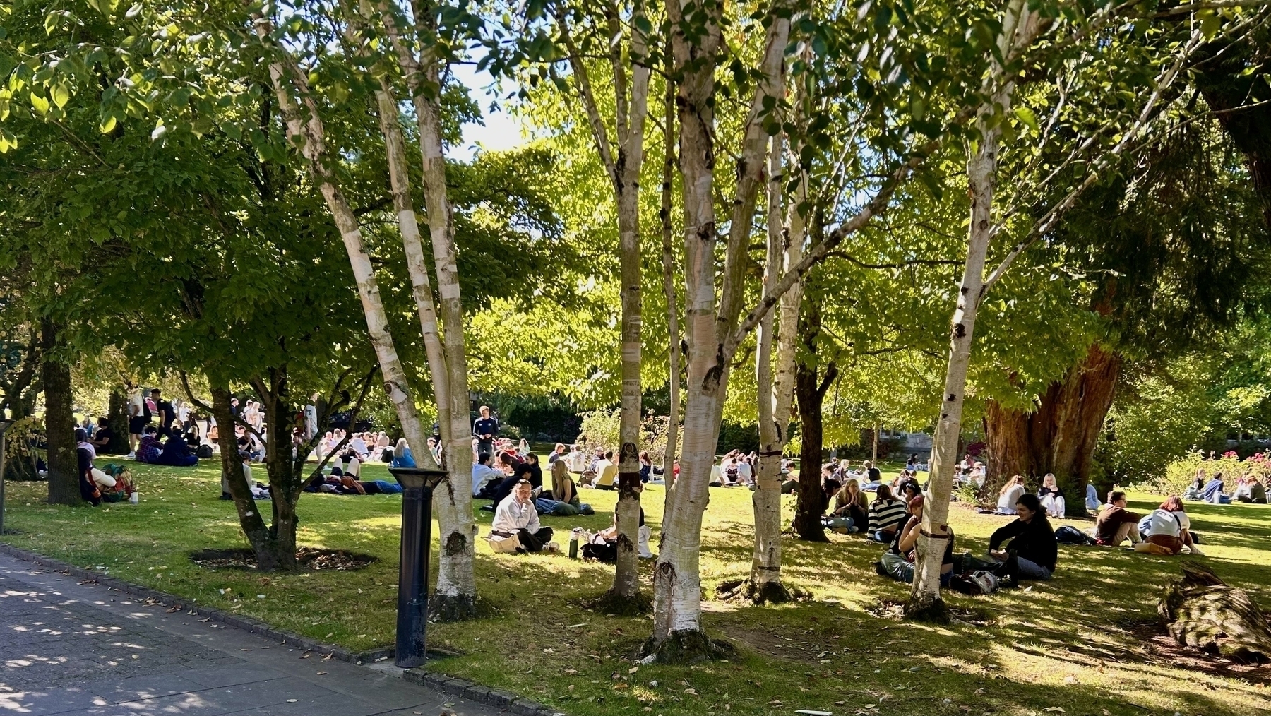 Young people sitting on a shaded lawn amongst trees. It's the University College Cork campus. 