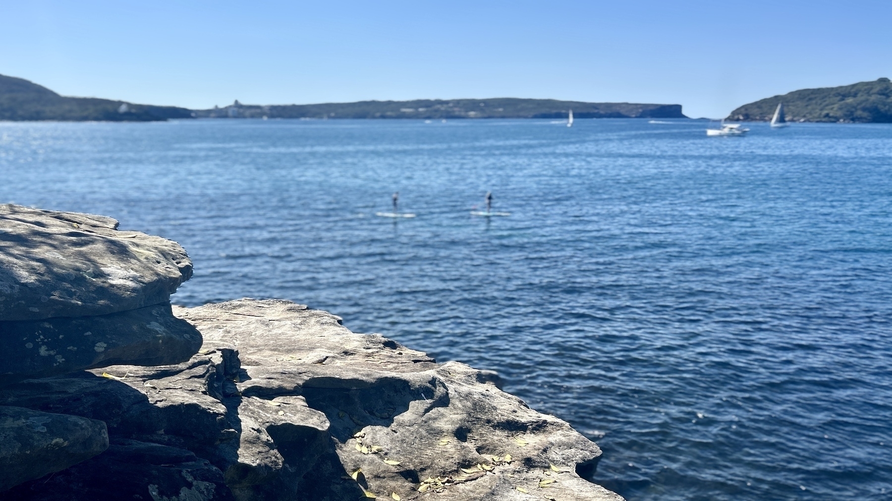 Sydney harbour looking particularly blue, with clear blue skies. North Head is visible in the distance. There are two paddleboarders visible. 