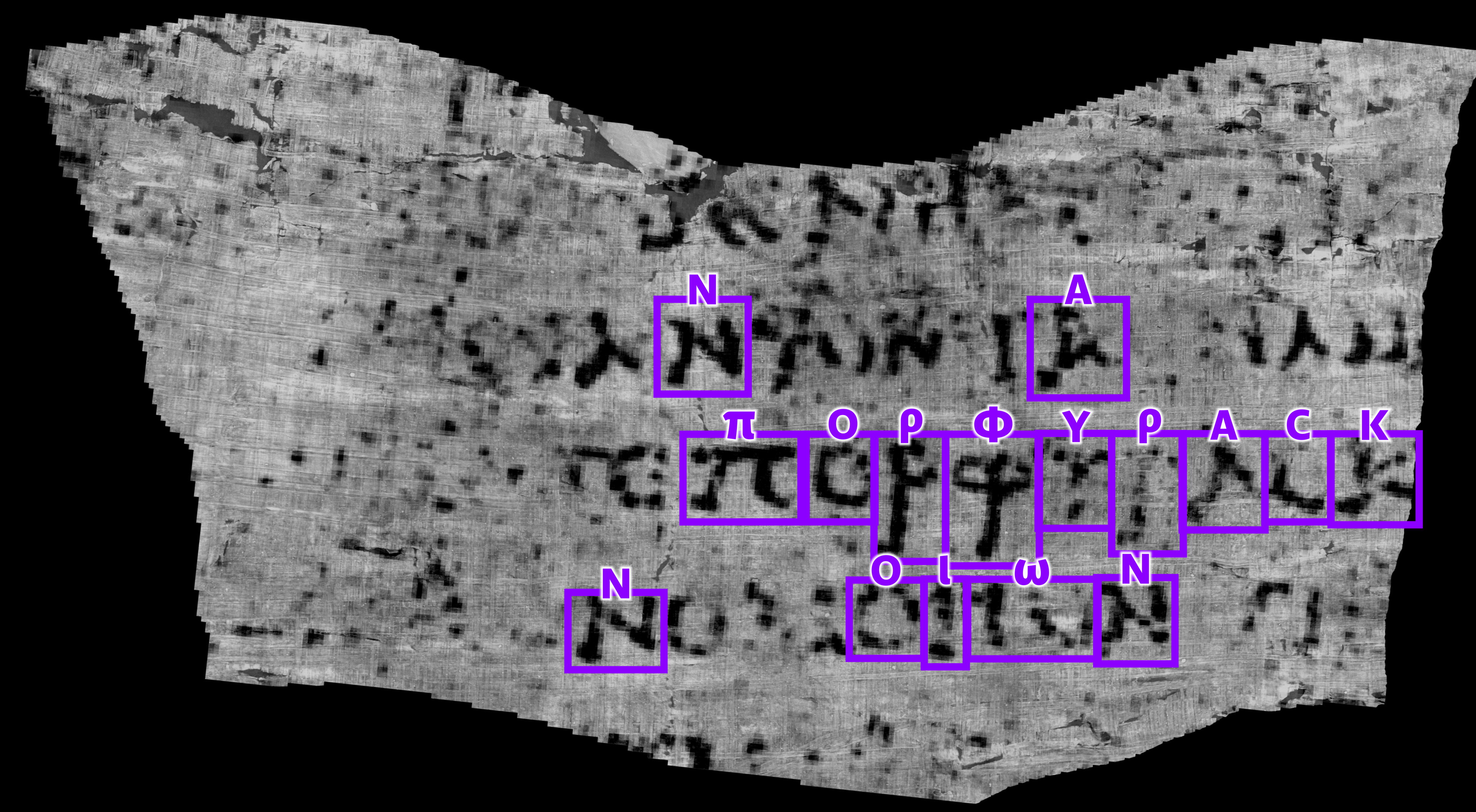 A composite computer image showing some glyphs in black on a grey piece of reconstructed Herculaneum parchment. The word “ΠΟΡΦΥΡΑϹ” is highlighted - the Ancient Greek word for purple. 