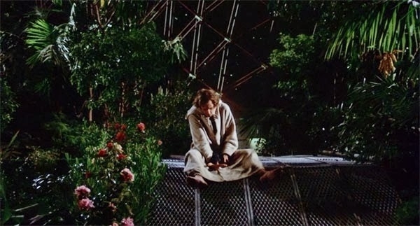 A man sitting surrounded by plants. A scene from the film Silent Running (1972).