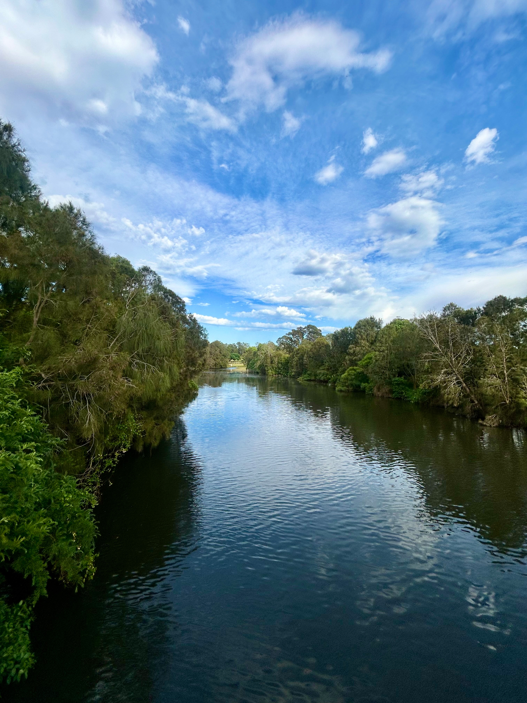 A river flows between lush, green trees under a blue, partly cloudy sky. It’s the Parramatta River in Sydney, Australia. 
