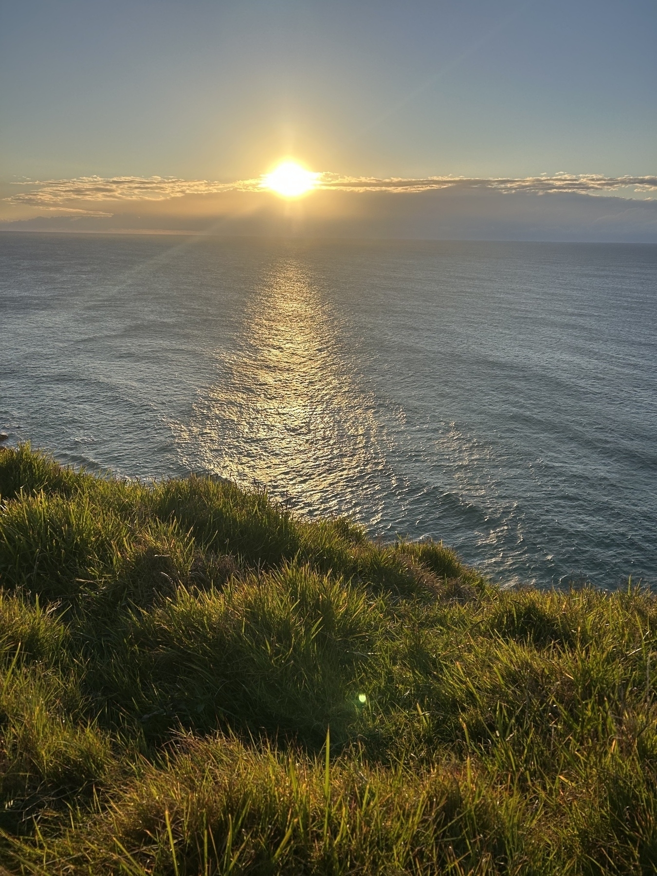 Sun rising over the ocean.  Some grass in foreground. 