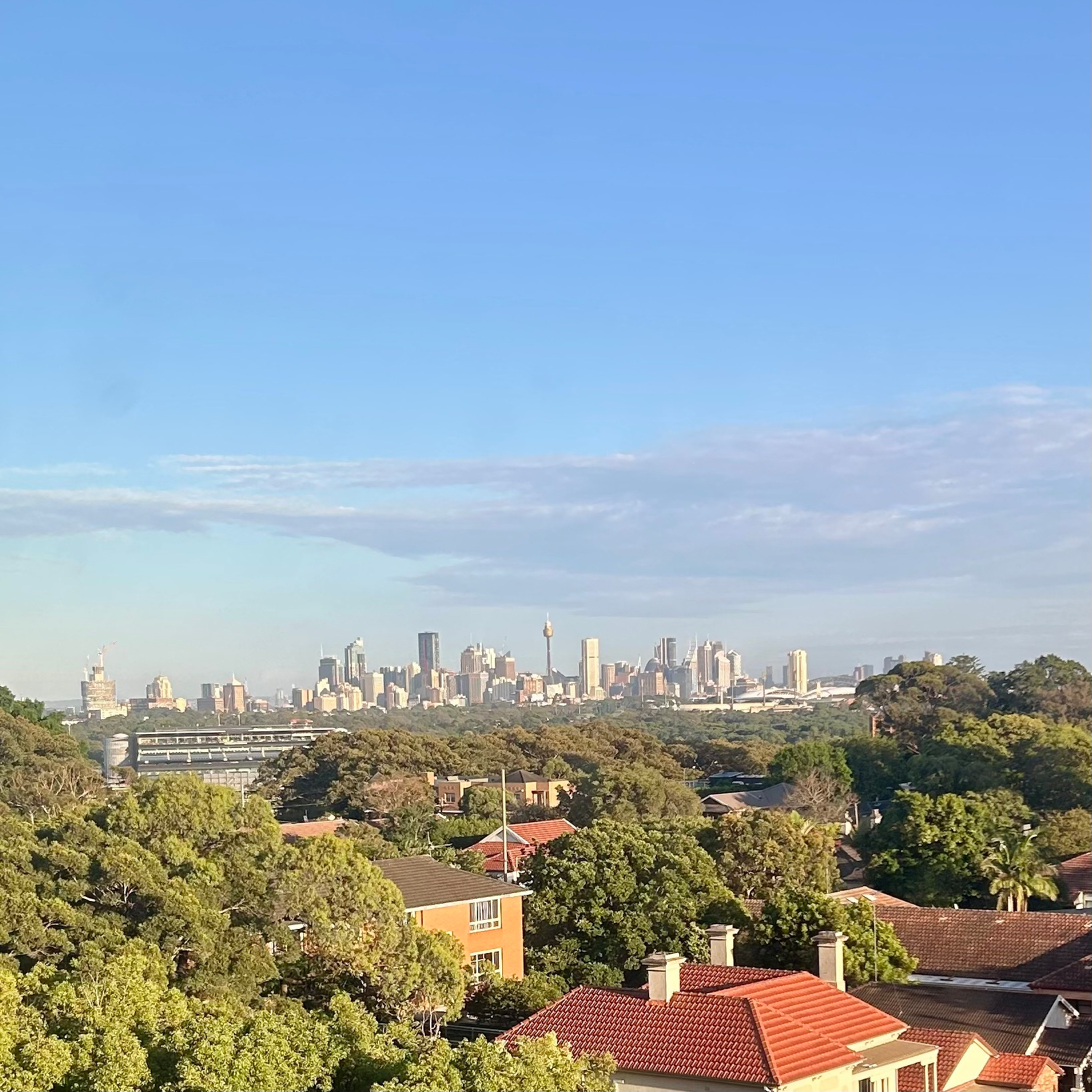 The Sydney CBD skyline is visible in the distance beyond a suburban area with houses and trees under a clear blue sky.
